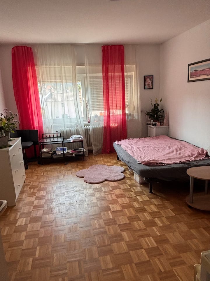 Nice Studio In City Centre - 弗萊堡