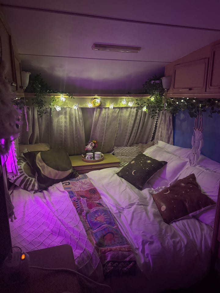 Alpaca Glamping At Fur And Fields Farm - Warminster