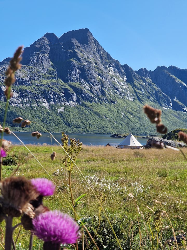 Panoramic View | Uniqe Stay In Lavvo-tent - ノルウェー