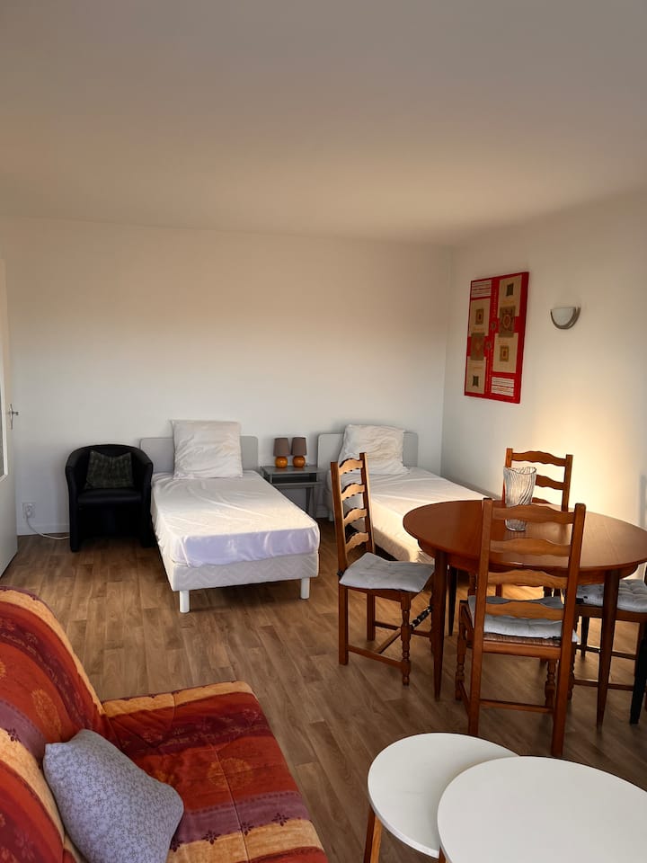 Studio Cosy, Hyper Centre De Dax - Dax