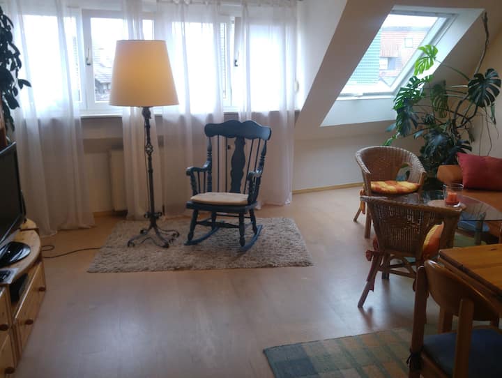 Ferienwohnung Marlies - Freiburg im Breisgau
