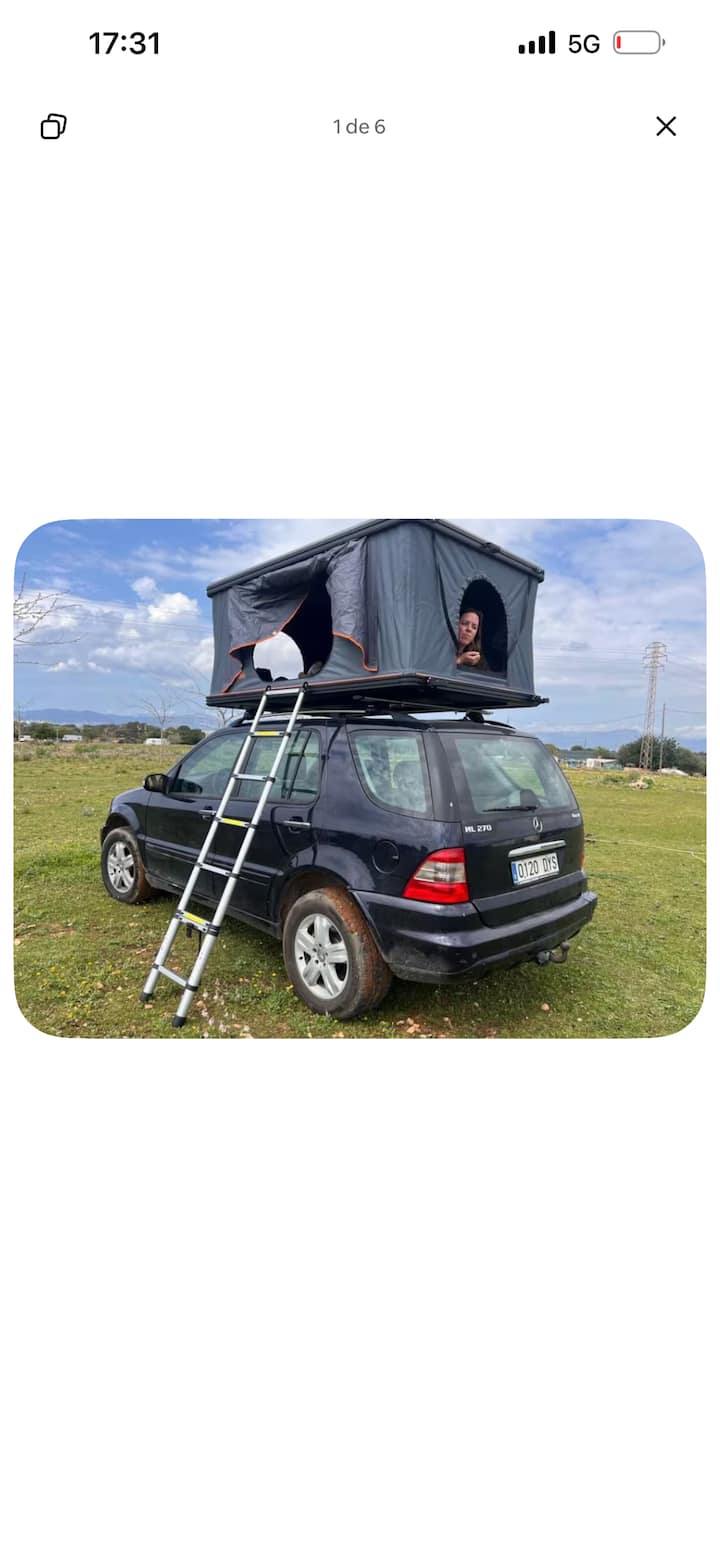 Discovery Mallorca In 4x4 - Palma