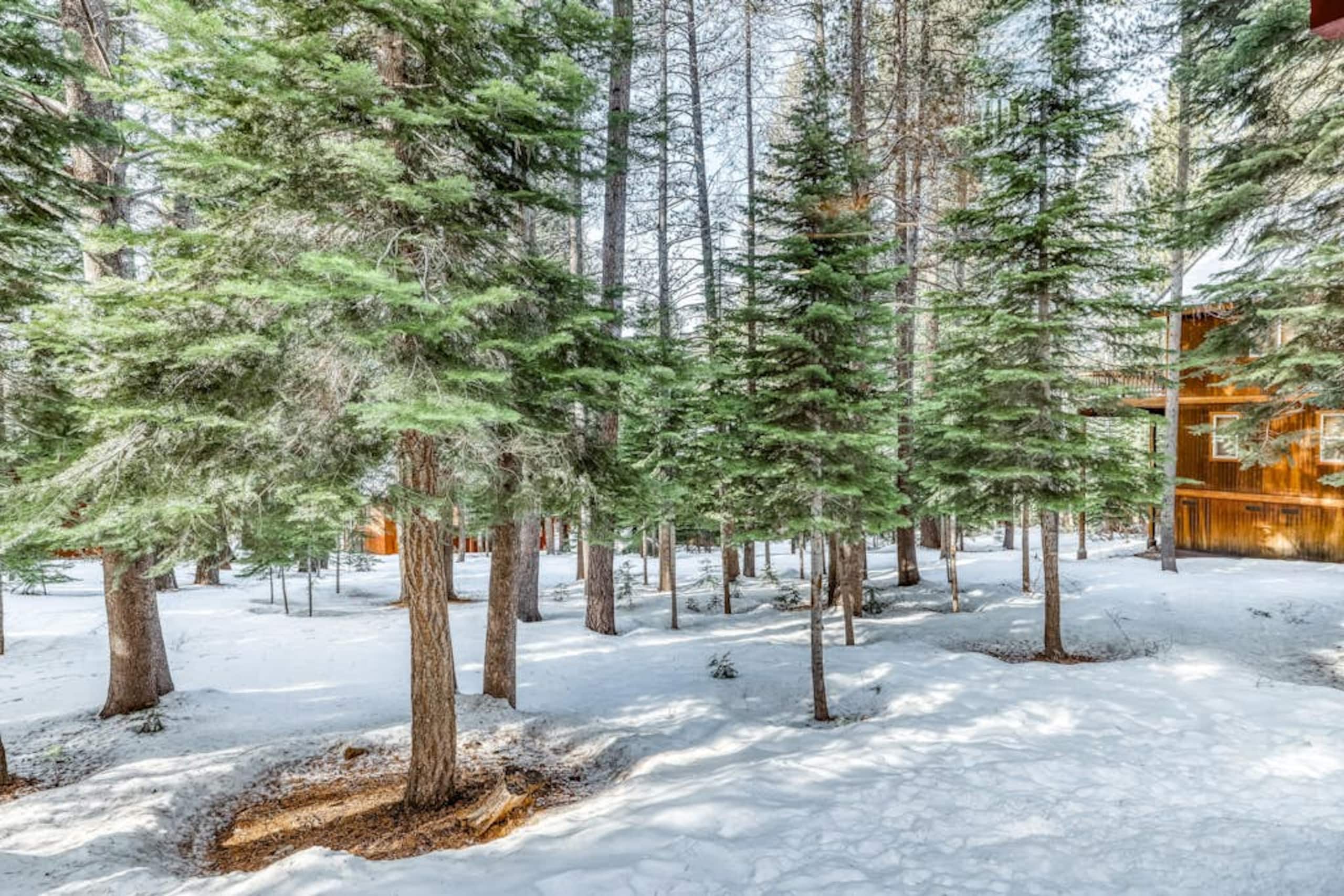 Updated 3BR Skiview, Pool, Hot Tub, Sauna - Photo 27