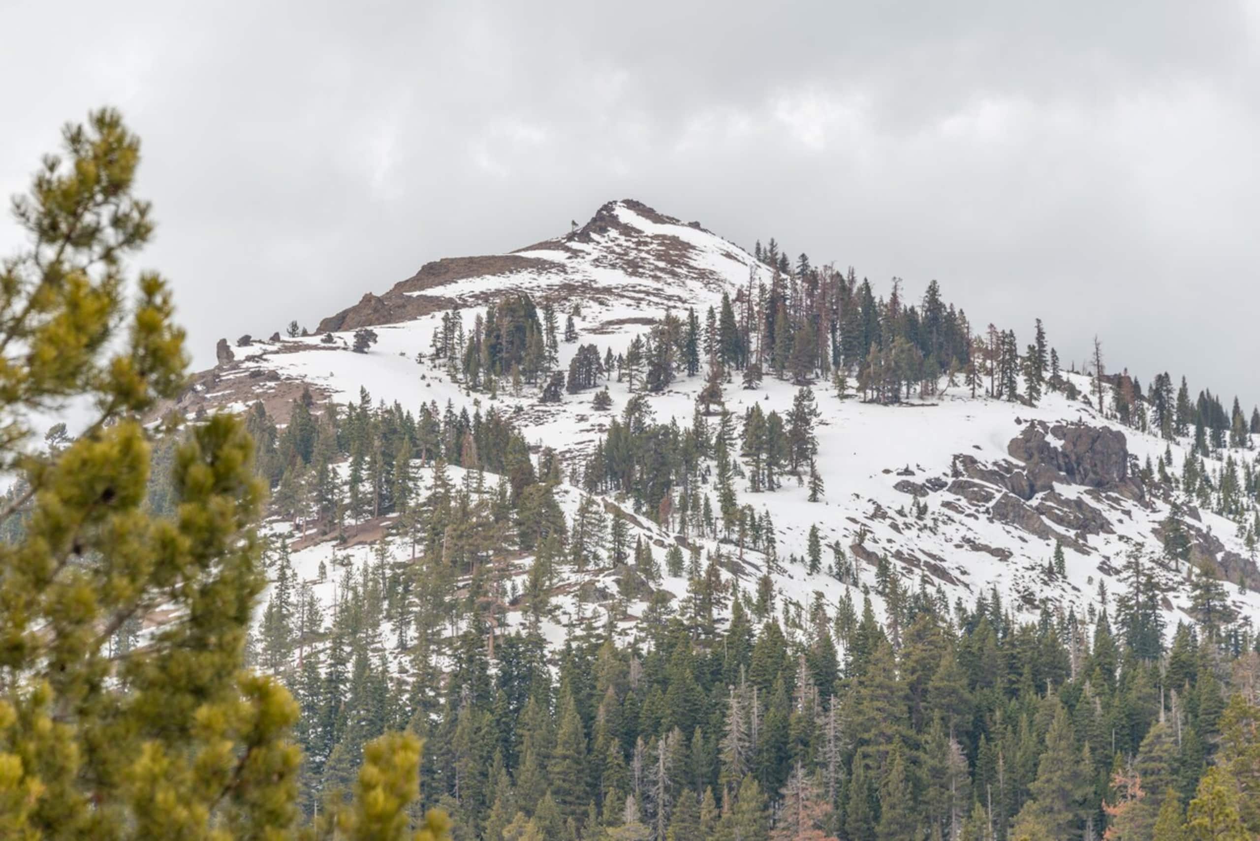 .2 Mile Walk to Palisades Tahoe - Photo 17