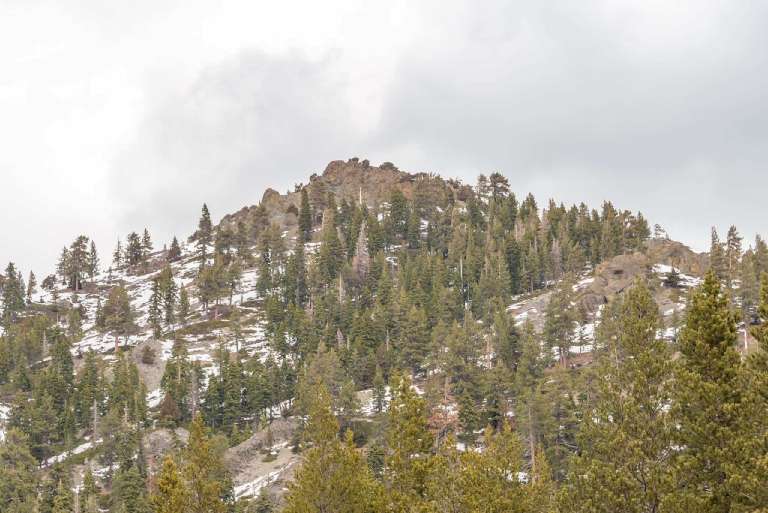 .2 Mile Walk to Palisades Tahoe - Photo 19