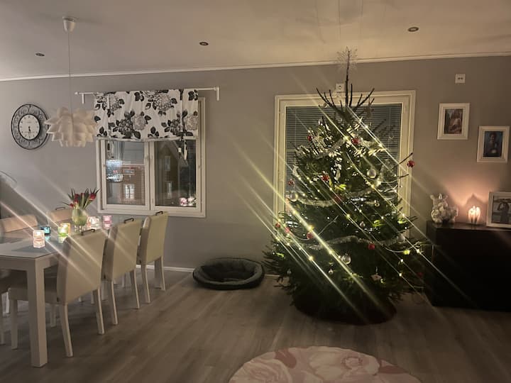 Villa Lumi - Rovaniemi