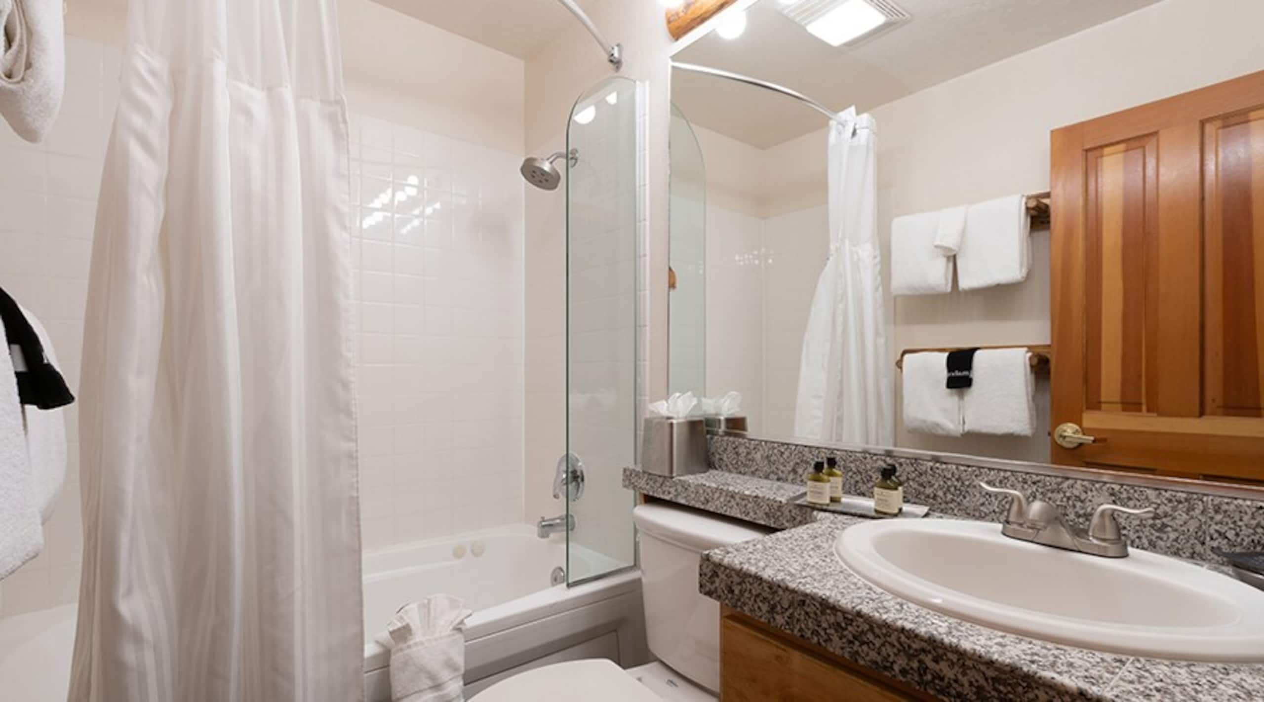 Studio and Red Wolf Lodge and Olympic Valley - Photo 17