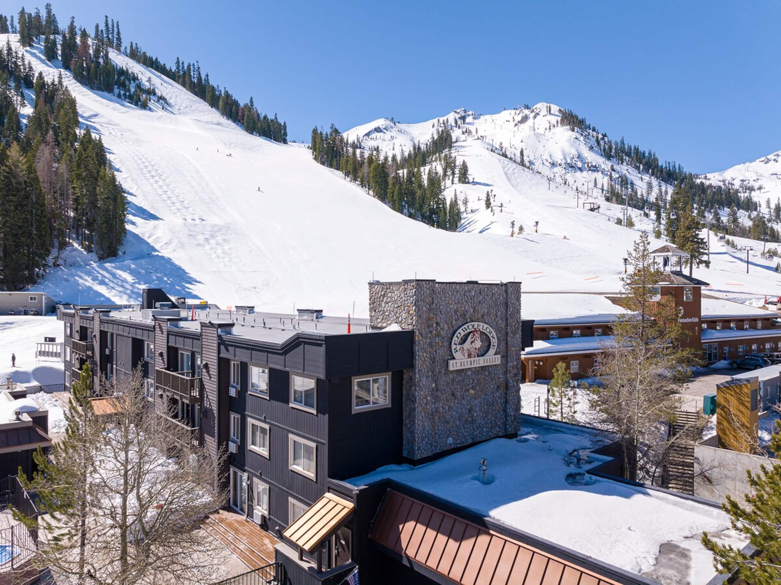 Studio and Red Wolf Lodge and Olympic Valley - Photo 24
