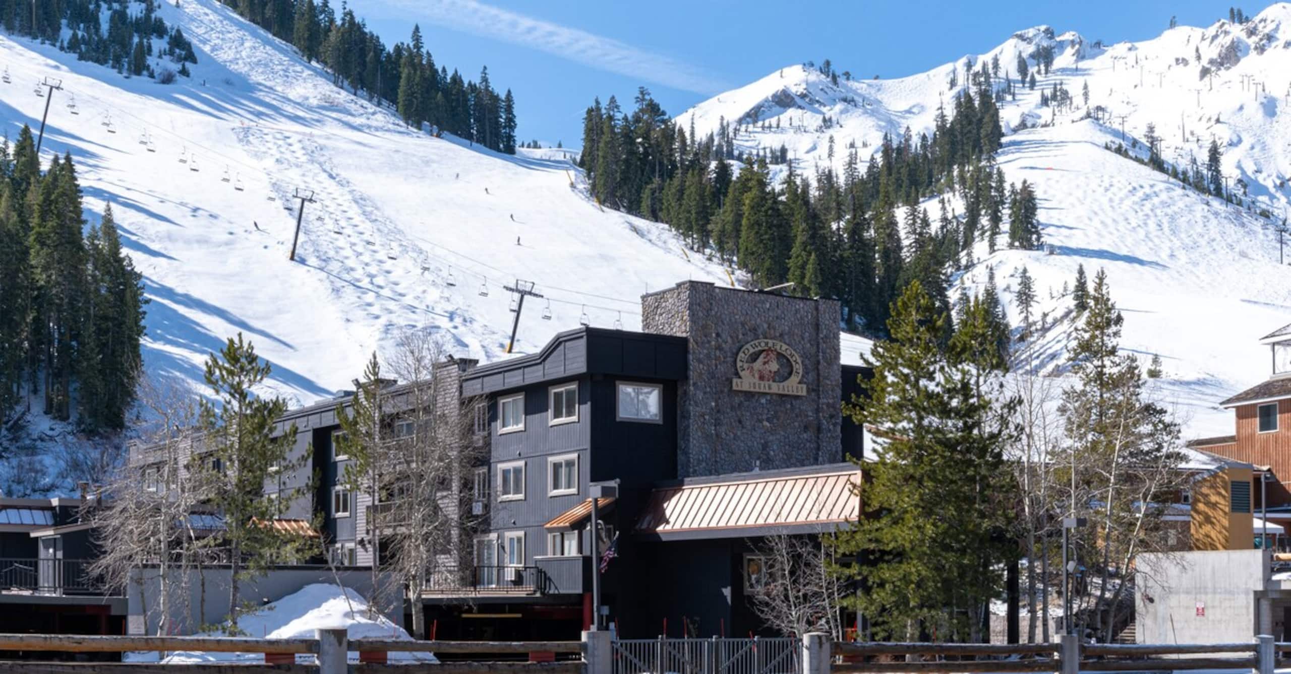 Studio and Red Wolf Lodge and Olympic Valley - Photo 26