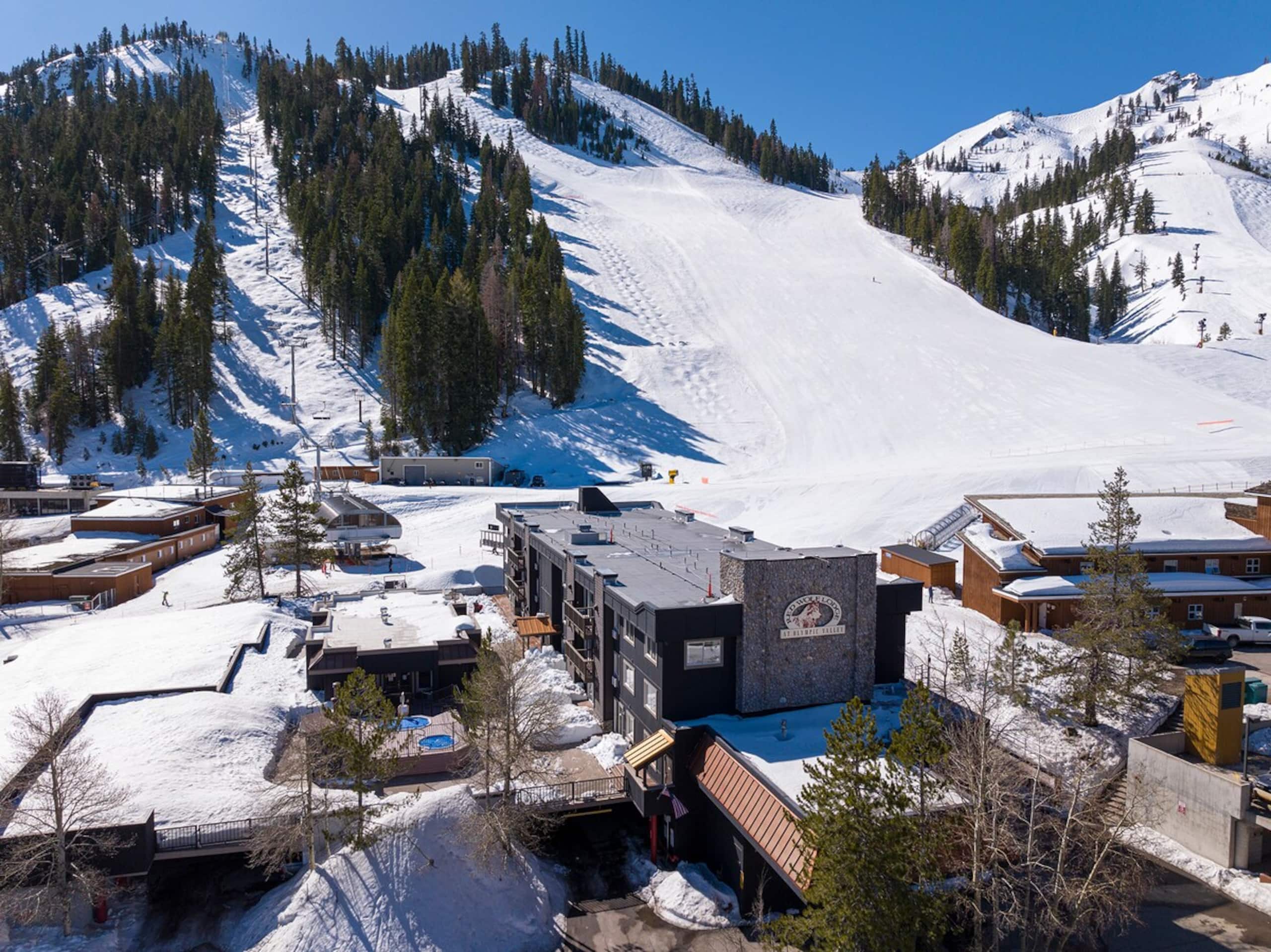 Studio and Red Wolf Lodge and Olympic Valley - Photo 44