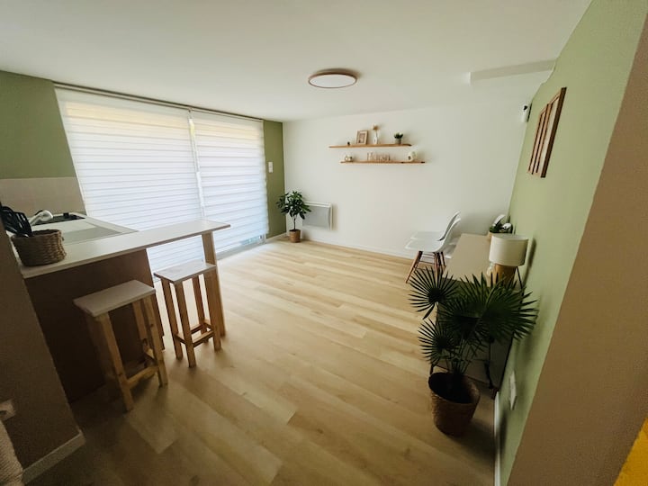 Petit Logement Dans Notre Sous-sol - Coulon