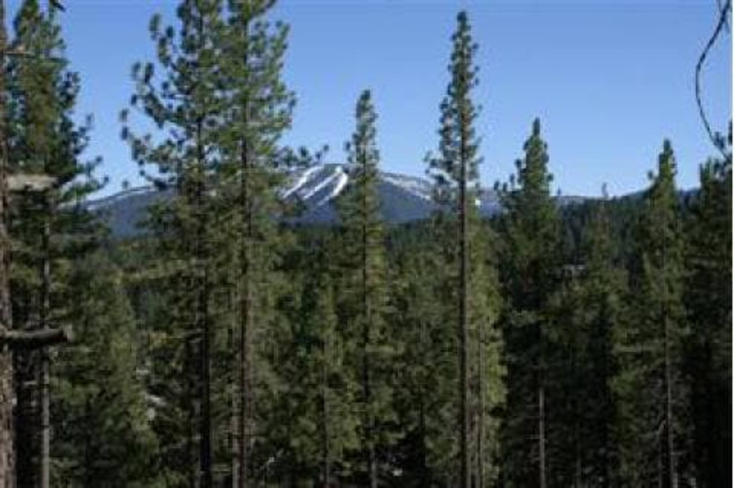 Tahoe Stoneridge Near Downtown - Photo 34