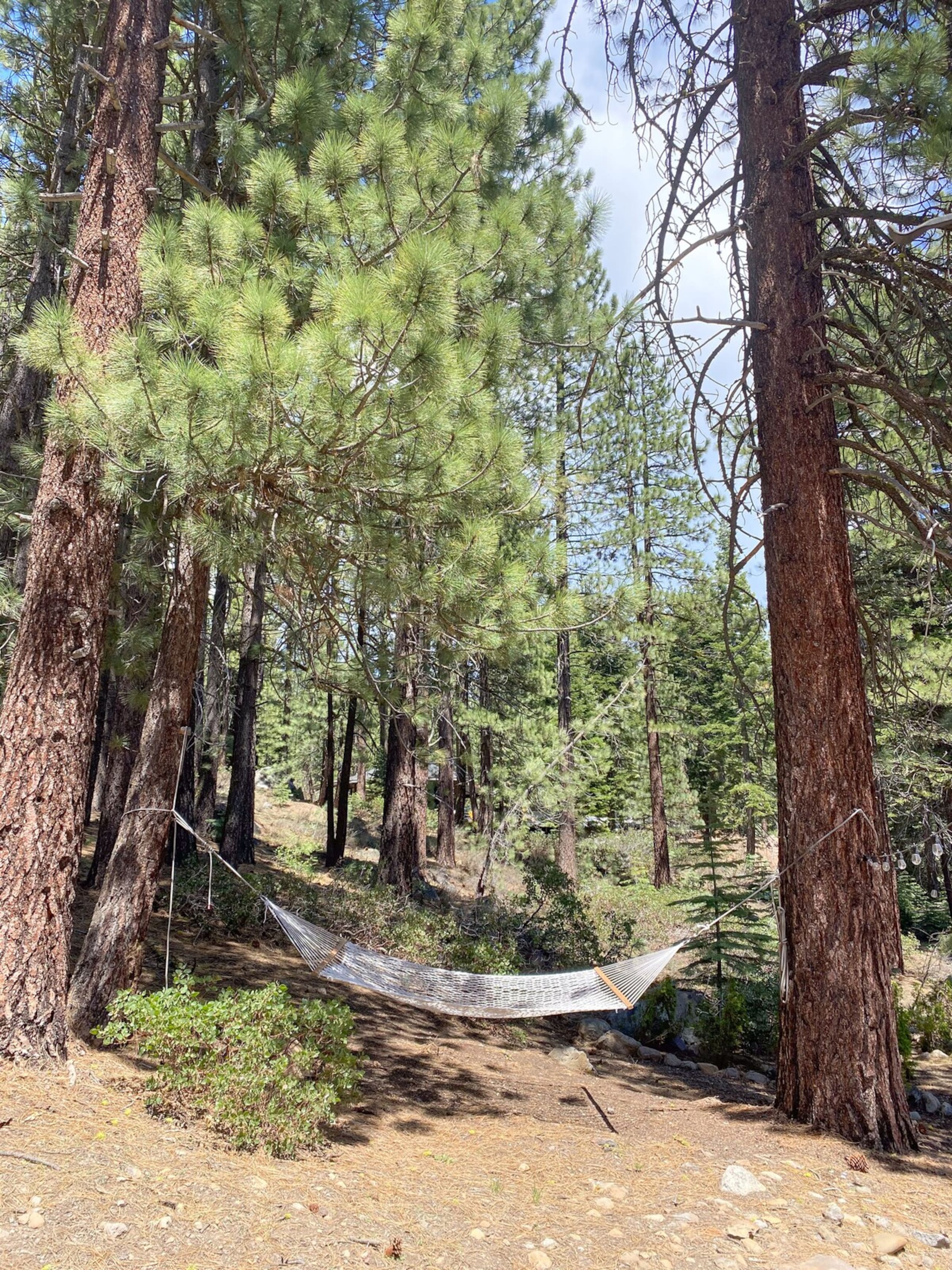 Truckee Getaway Ski/Lake Cabin - Photo 27