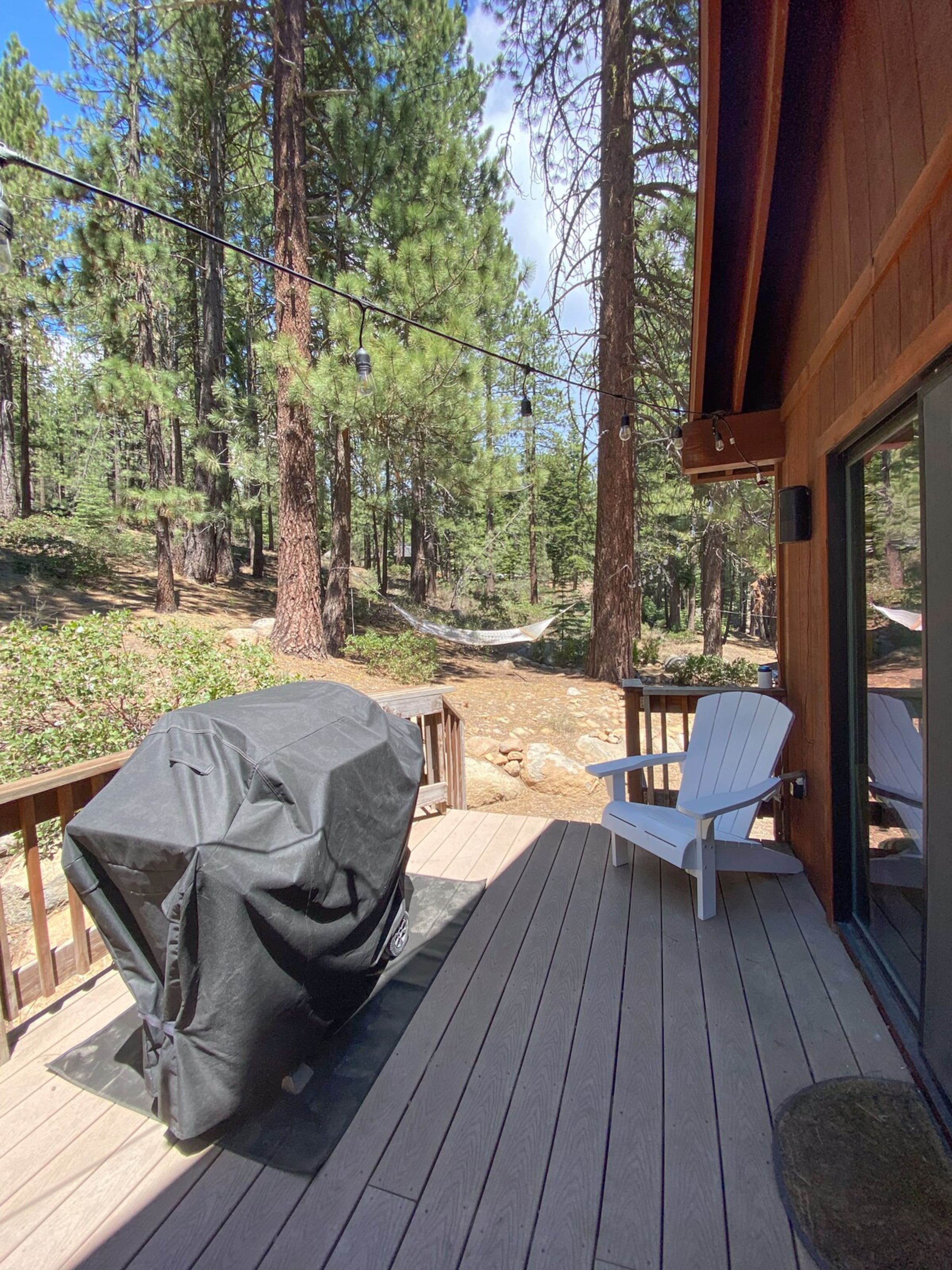 Truckee Getaway Ski/Lake Cabin - Photo 32