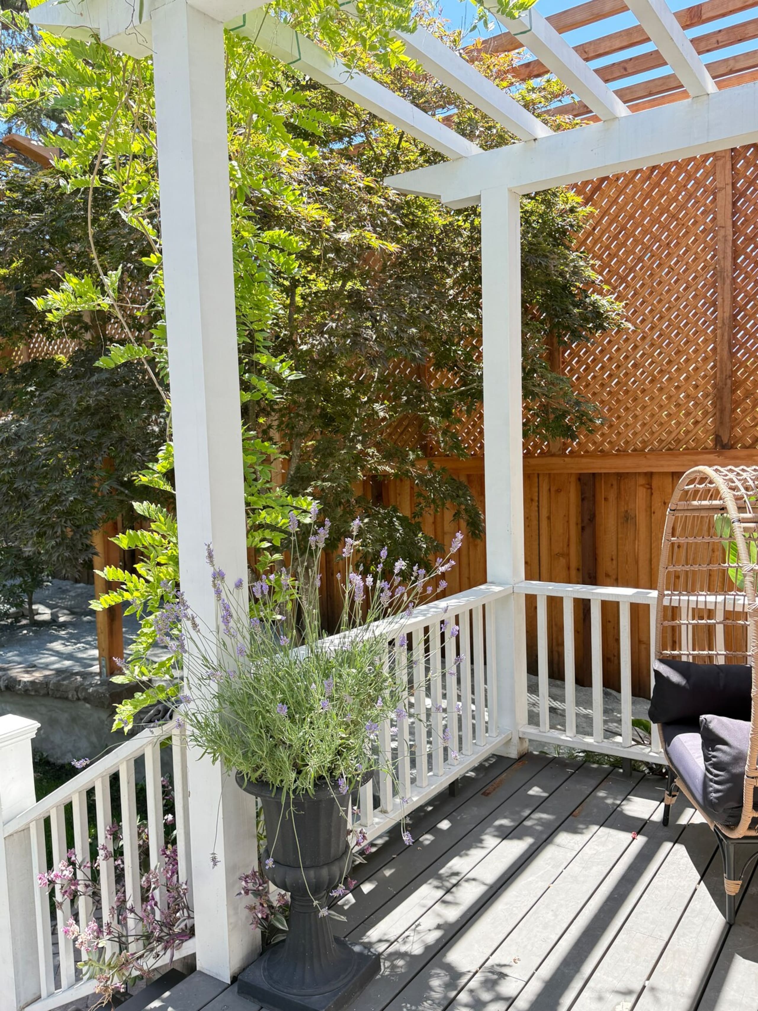 Luxury Victorian in Downtown Petaluma - Photo 39