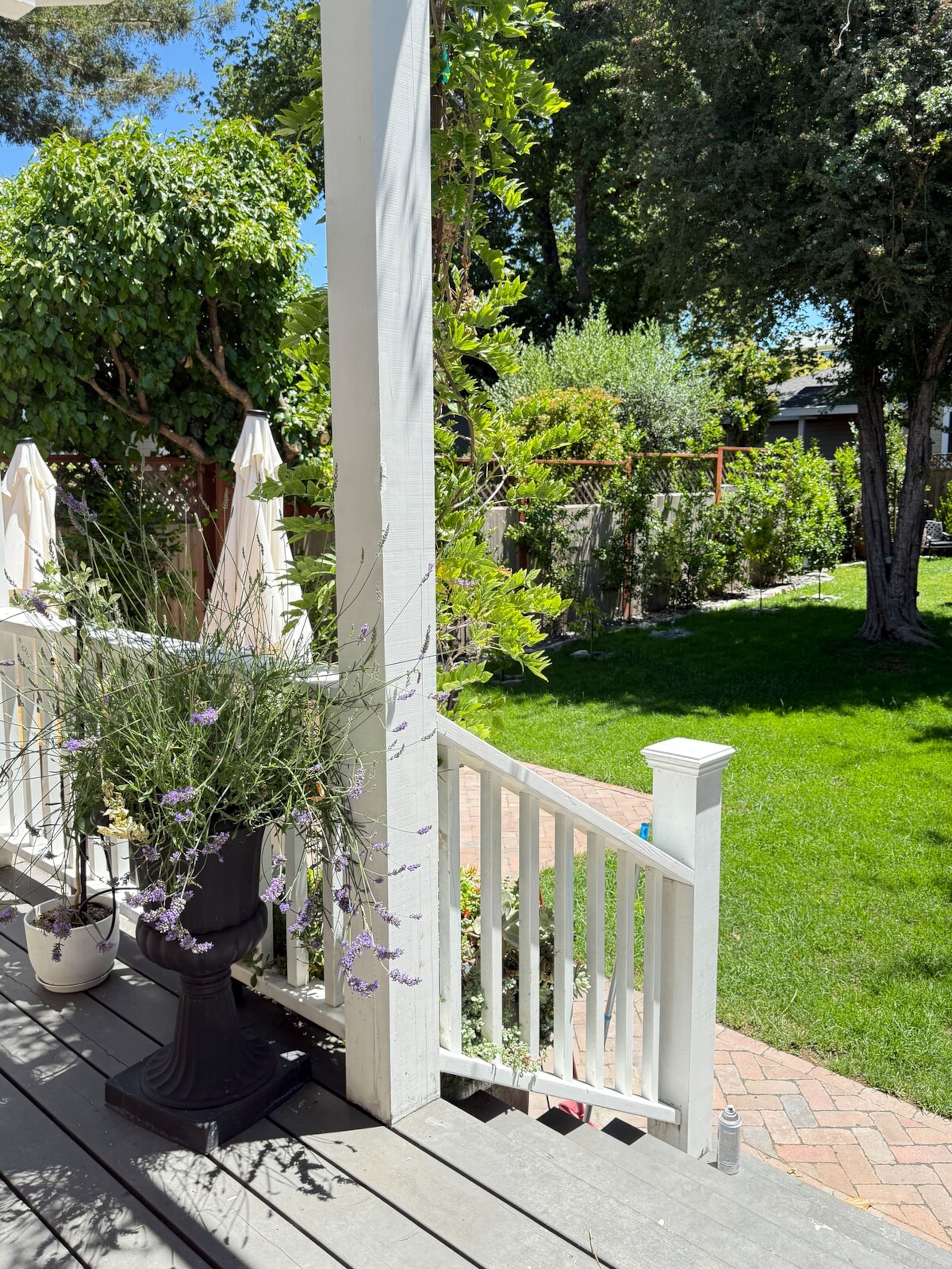 Luxury Victorian in Downtown Petaluma - Photo 38