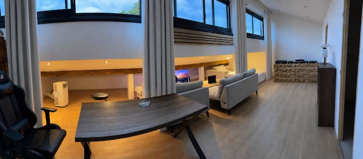 Loft Spacieux Et Lumineux En Attique - Thonon-les-Bains