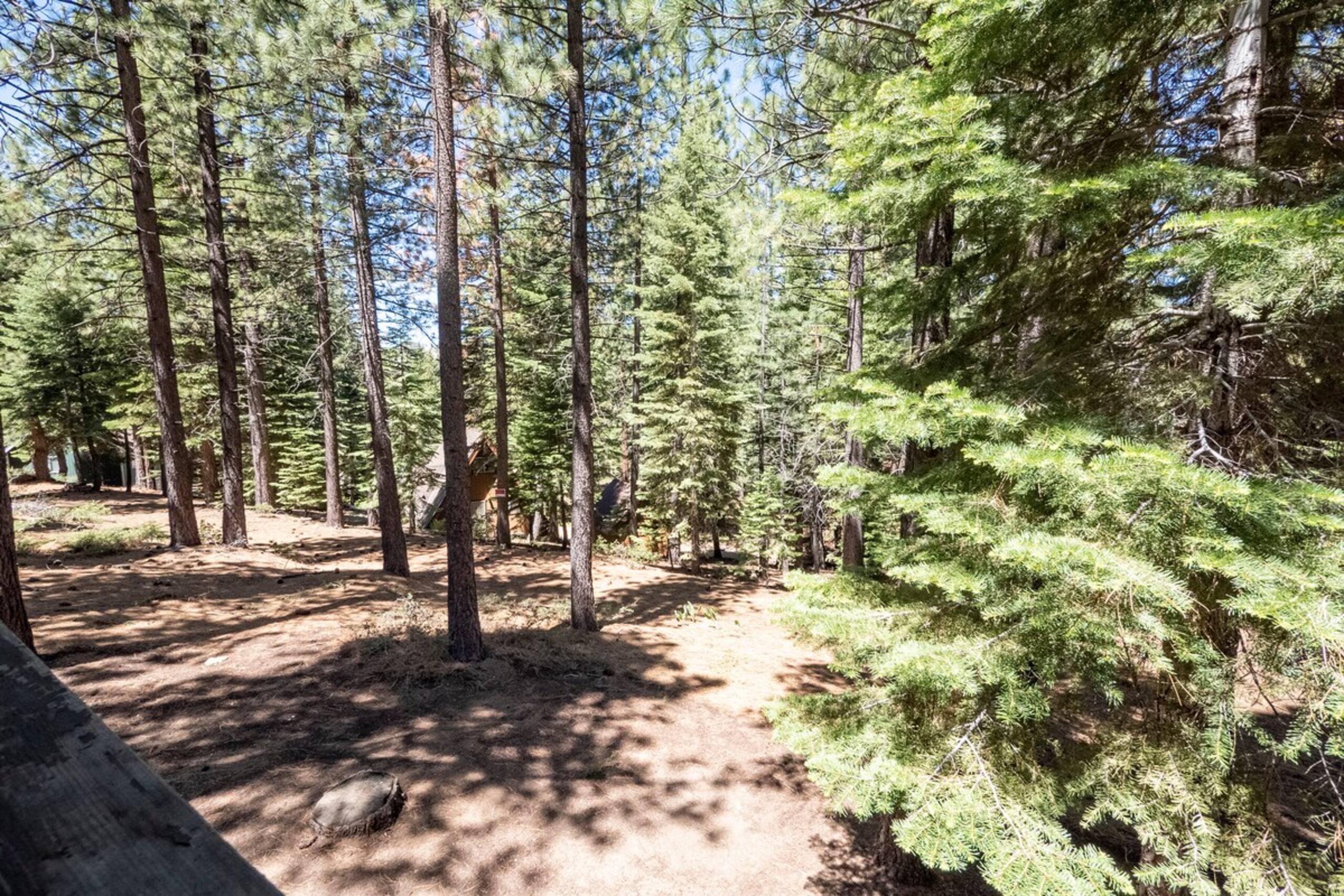 Rustic Family Cabin - Convenient to Ski and Lake - Photo 6