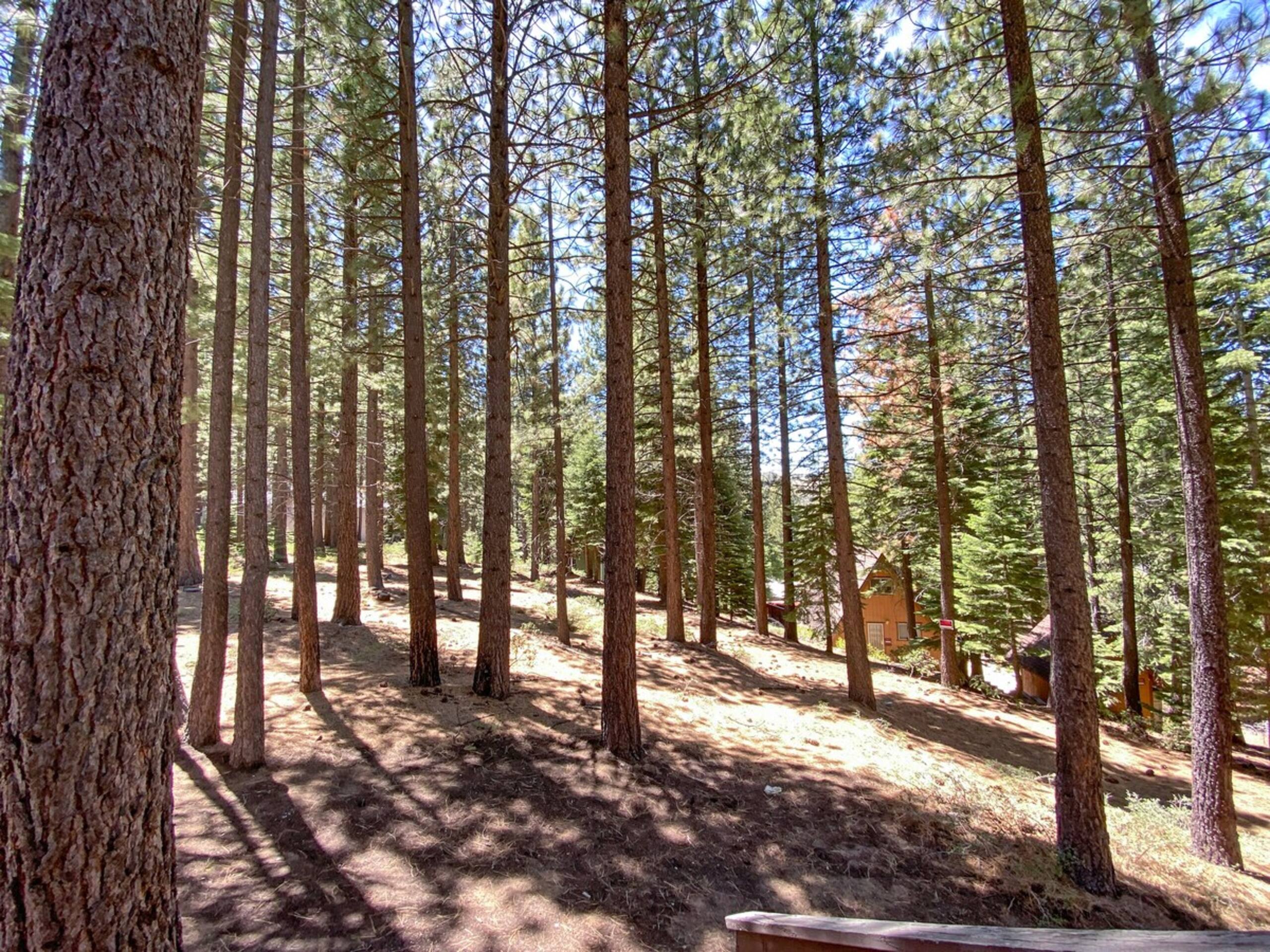 Rustic Family Cabin - Convenient to Ski and Lake - Main photo
