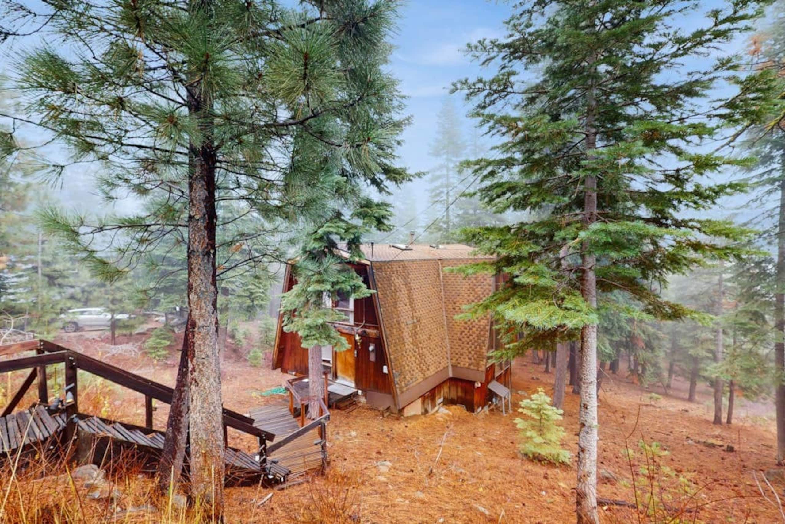 3BR Retro home with mountain views- dog-friendly - Photo 2