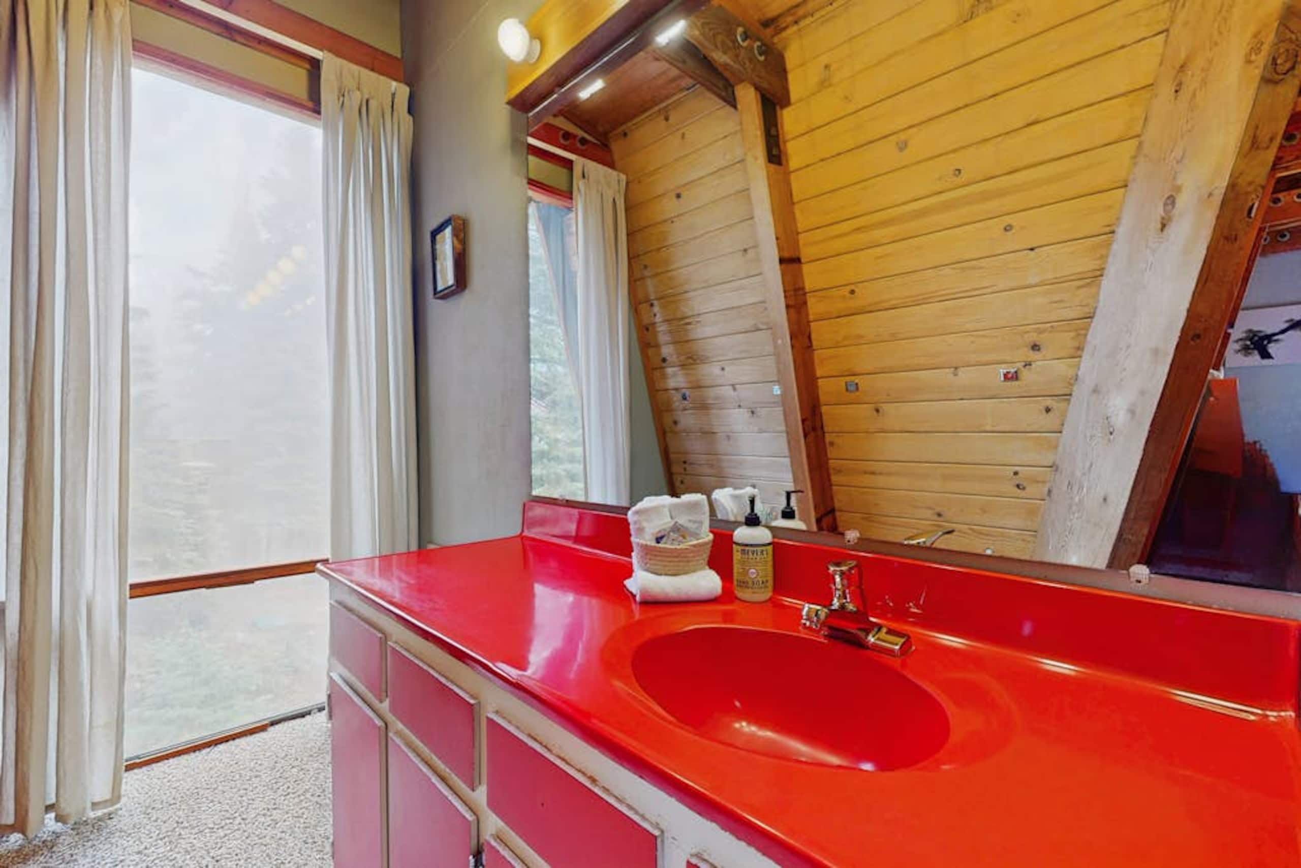 3BR Retro home with mountain views- dog-friendly - Photo 15