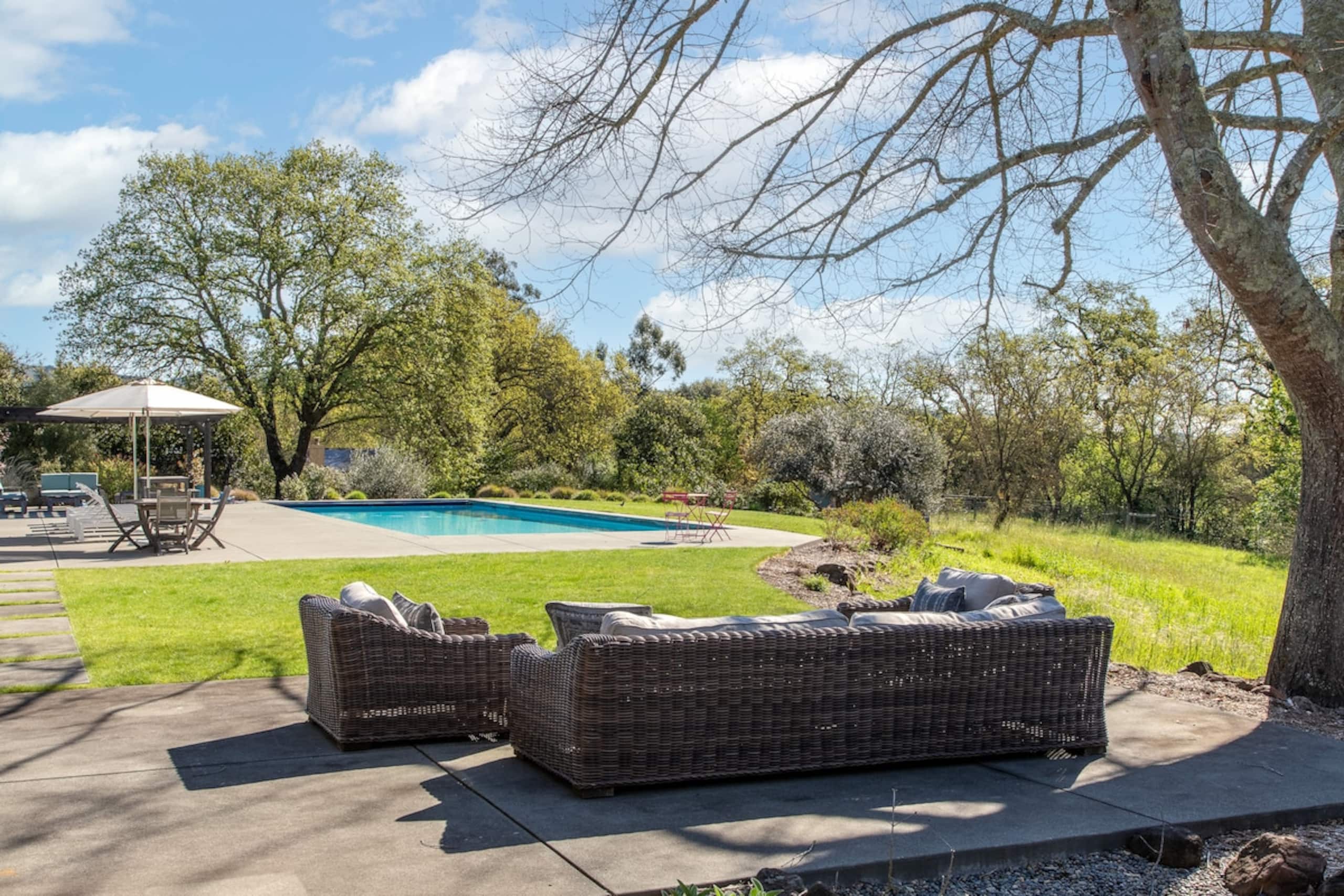 Private & peaceful 3 acres, 50ft pool & spa - Photo 3