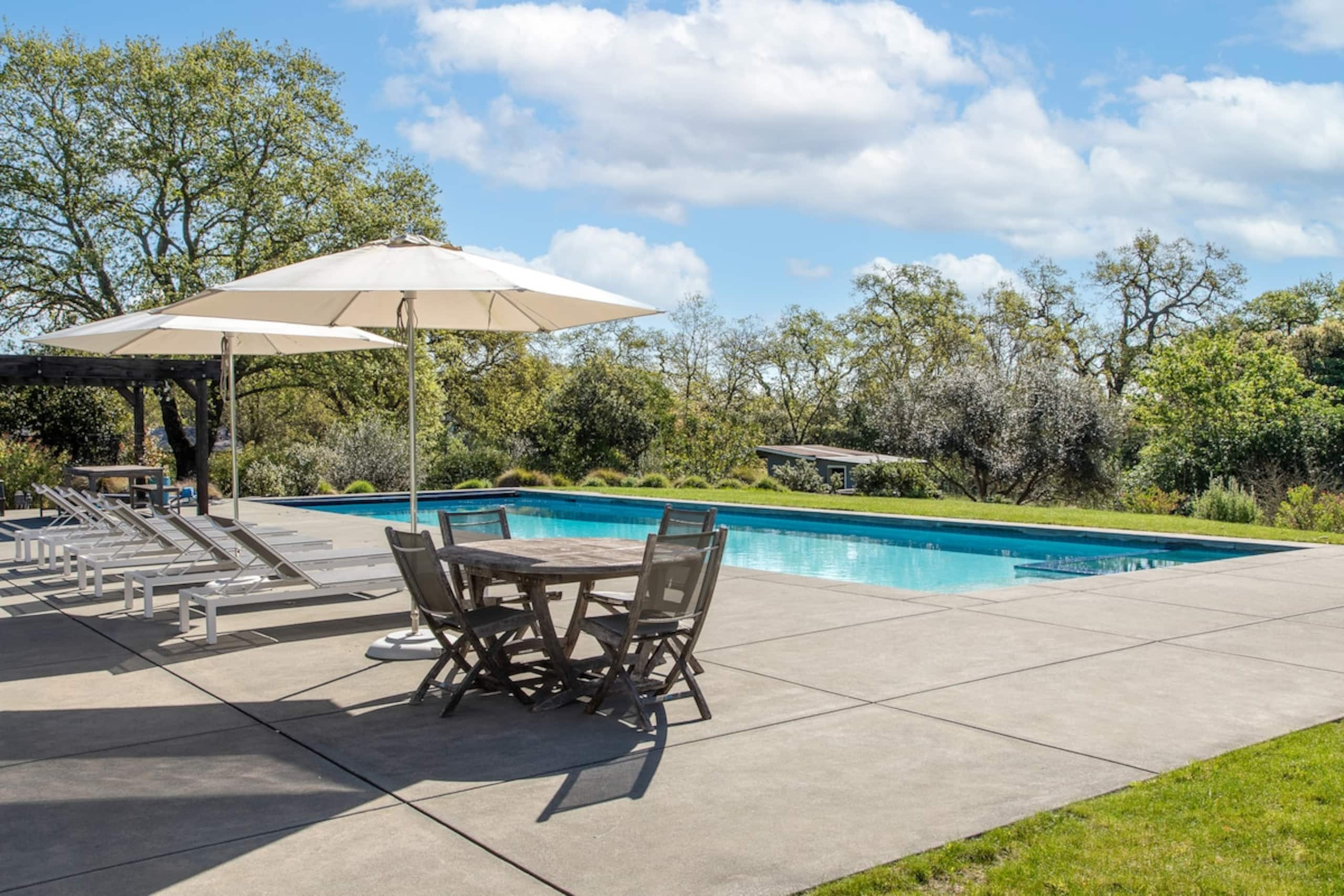 Private & peaceful 3 acres, 50ft pool & spa - Photo 2