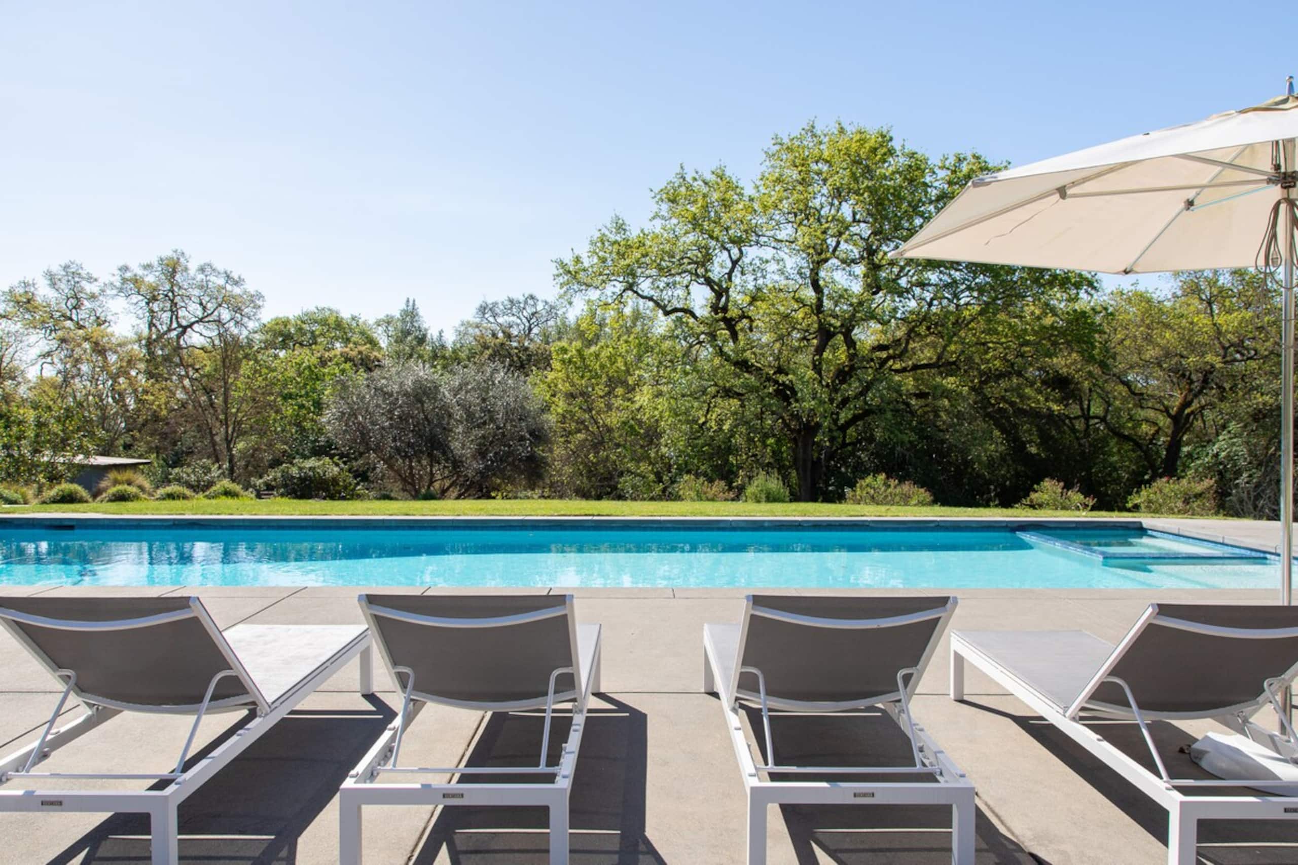 Private & peaceful 3 acres, 50ft pool & spa - Photo 4
