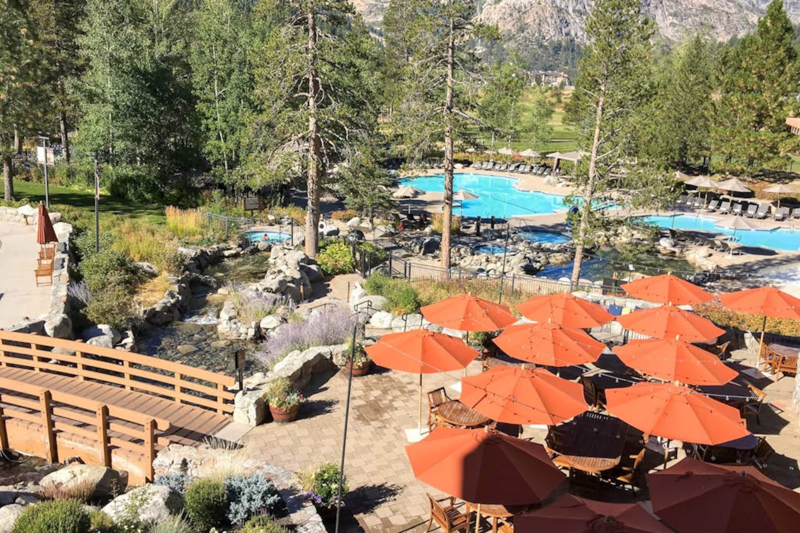 1BR Ski In/Out Mountainview, Pool, NoKitchen - Photo 9