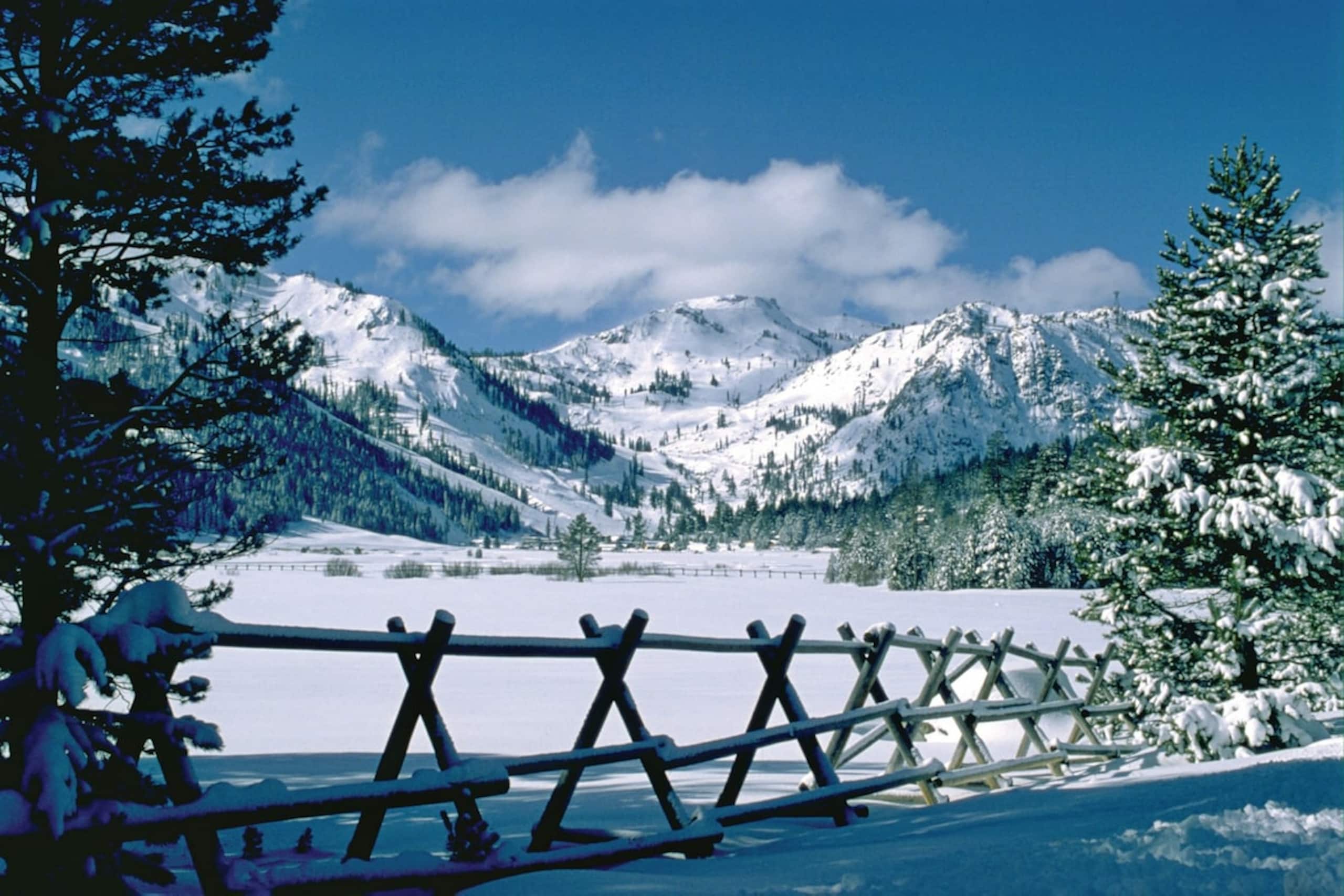 1BR Ski In/Out Mountainview, Pool, NoKitchen - Photo 22