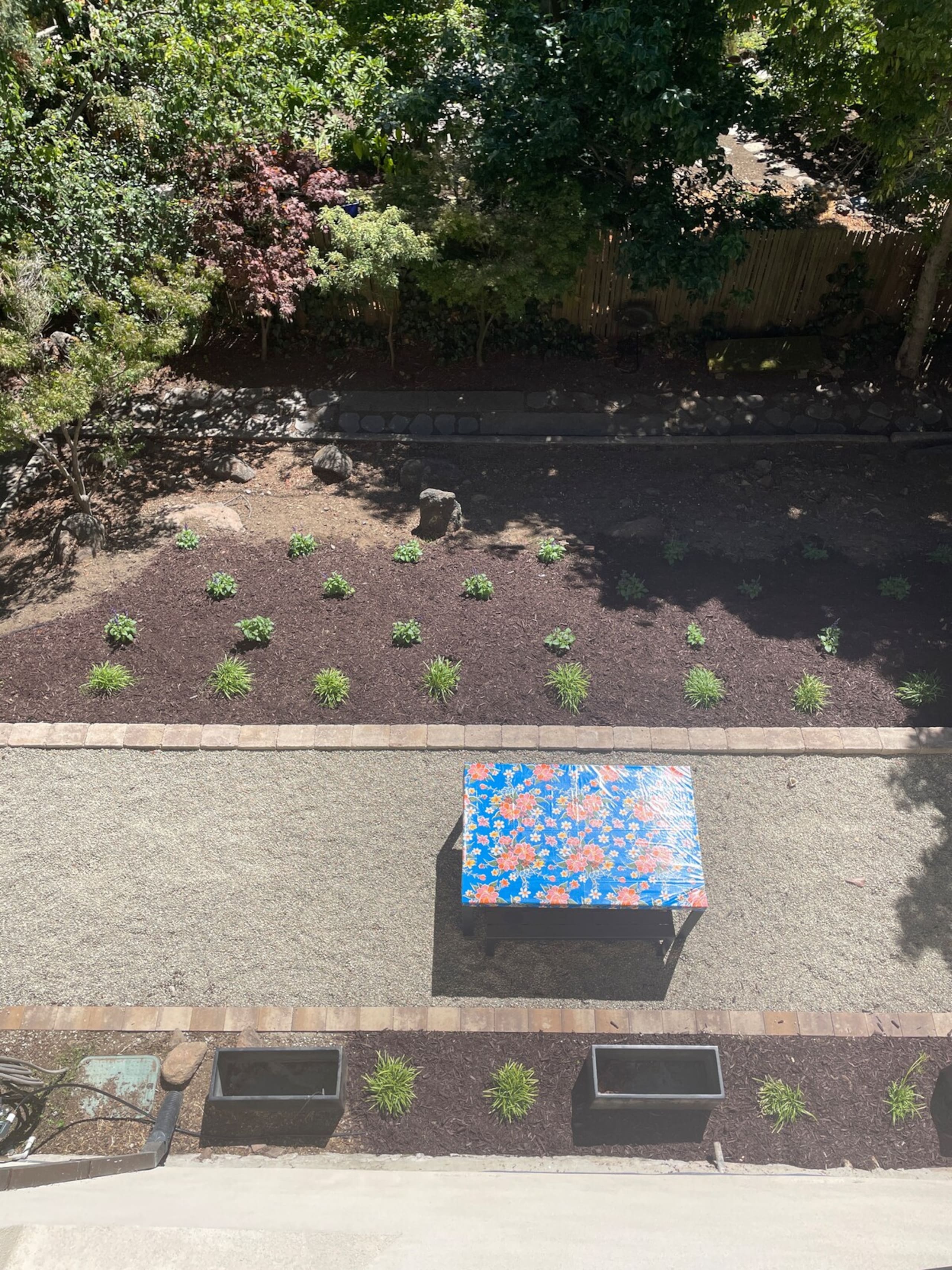 Short Walk To UC Berkeley - Charming 2BR Elmwood - Photo 7