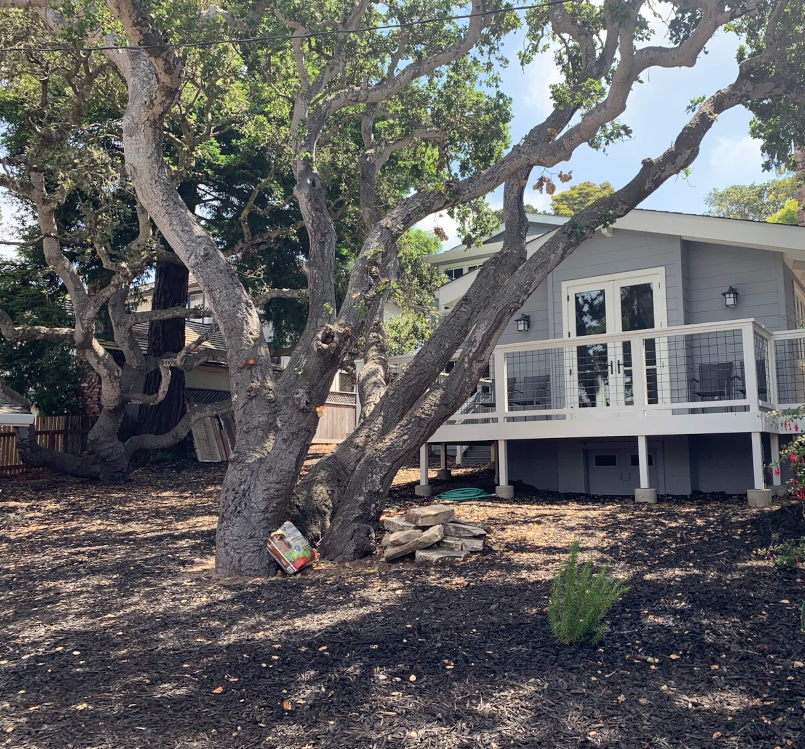 SurfHouse - Photo 15