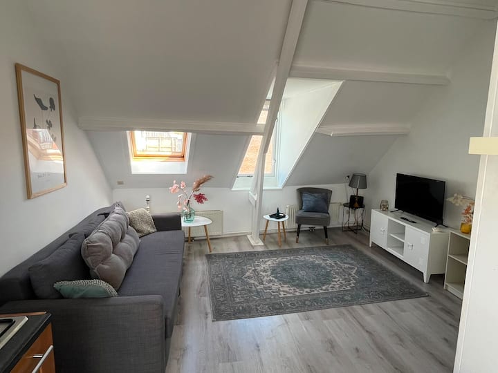 4 Personen Appartement Formule 1 Weekend - Haarlem