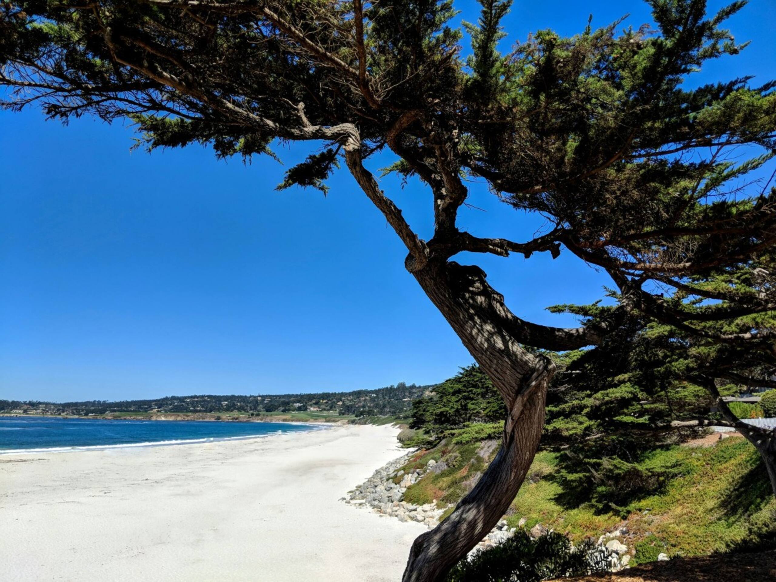 Highest Rated in Unmatched Location - Photo 25