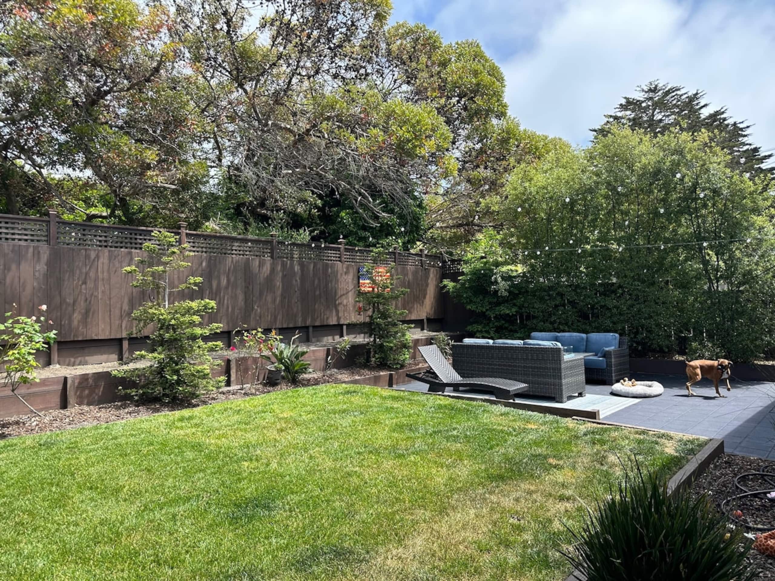 Cozy 2 Bedroom Home, Dog Friendly, w/Private Yard - Photo 10