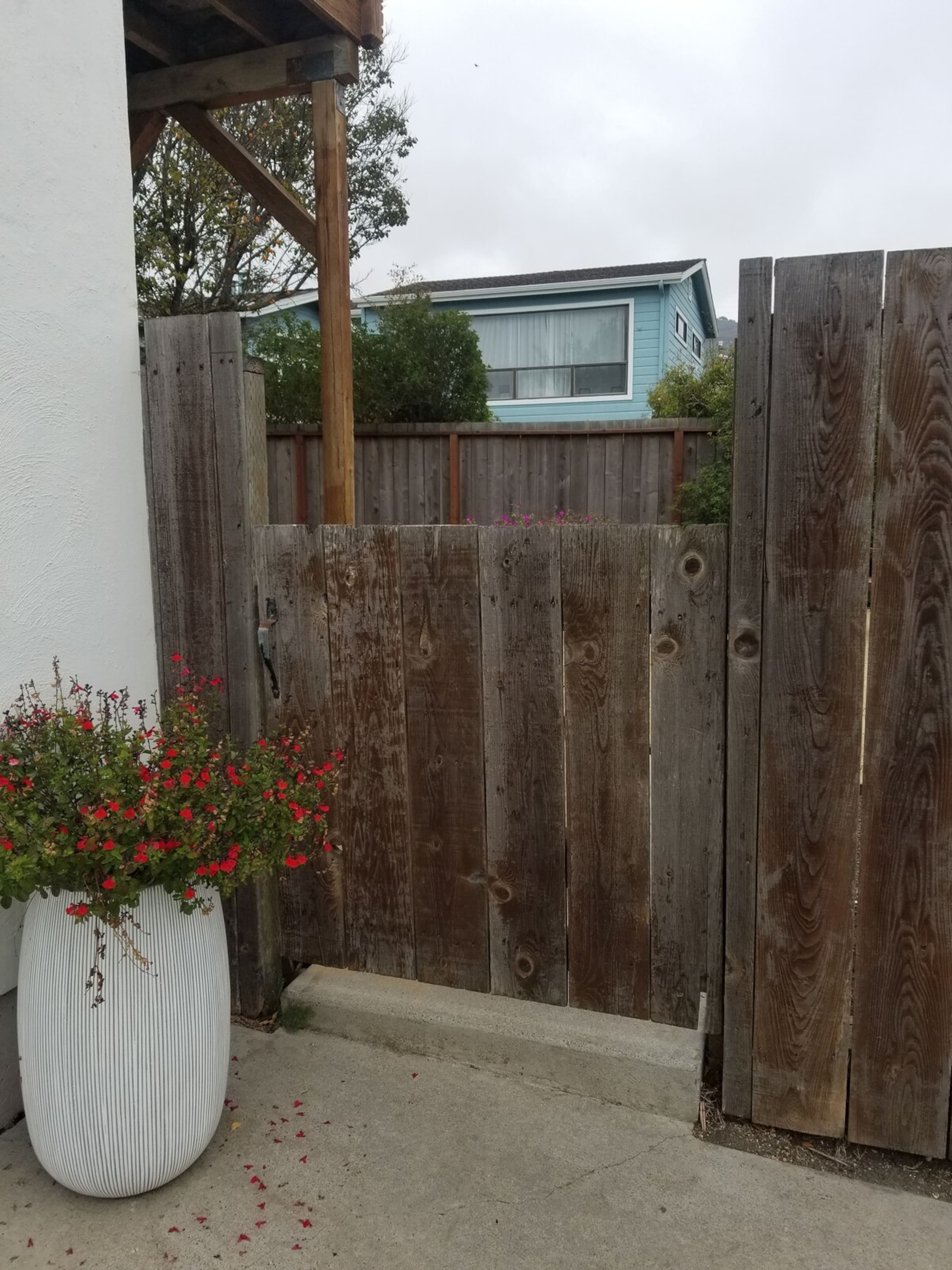 Brighton Beach Cottage, One Bedroom plus Loft - Photo 17