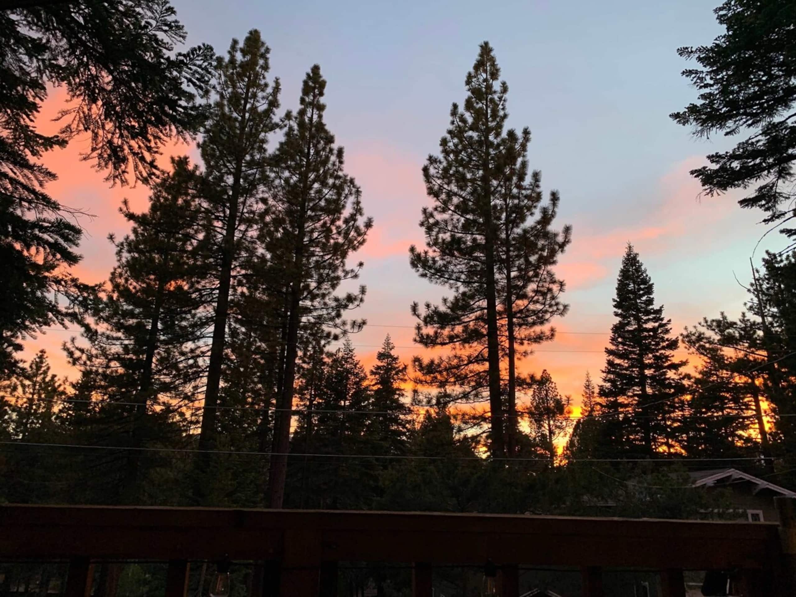 Cherry Hills Cabin - Sleeps 6, No Pets, Family Fun - Photo 4