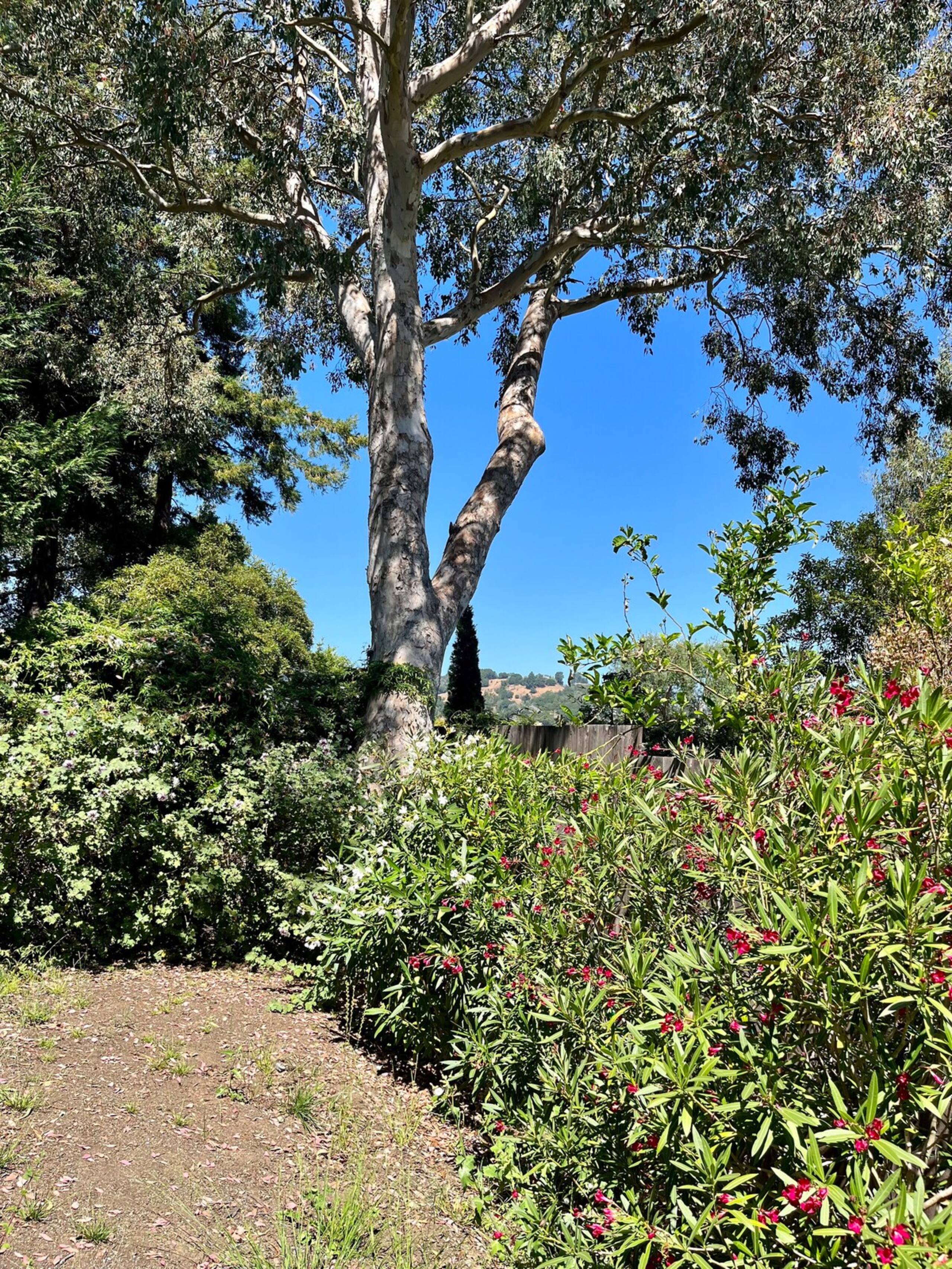 Charming 2 Bed Home - Photo 19