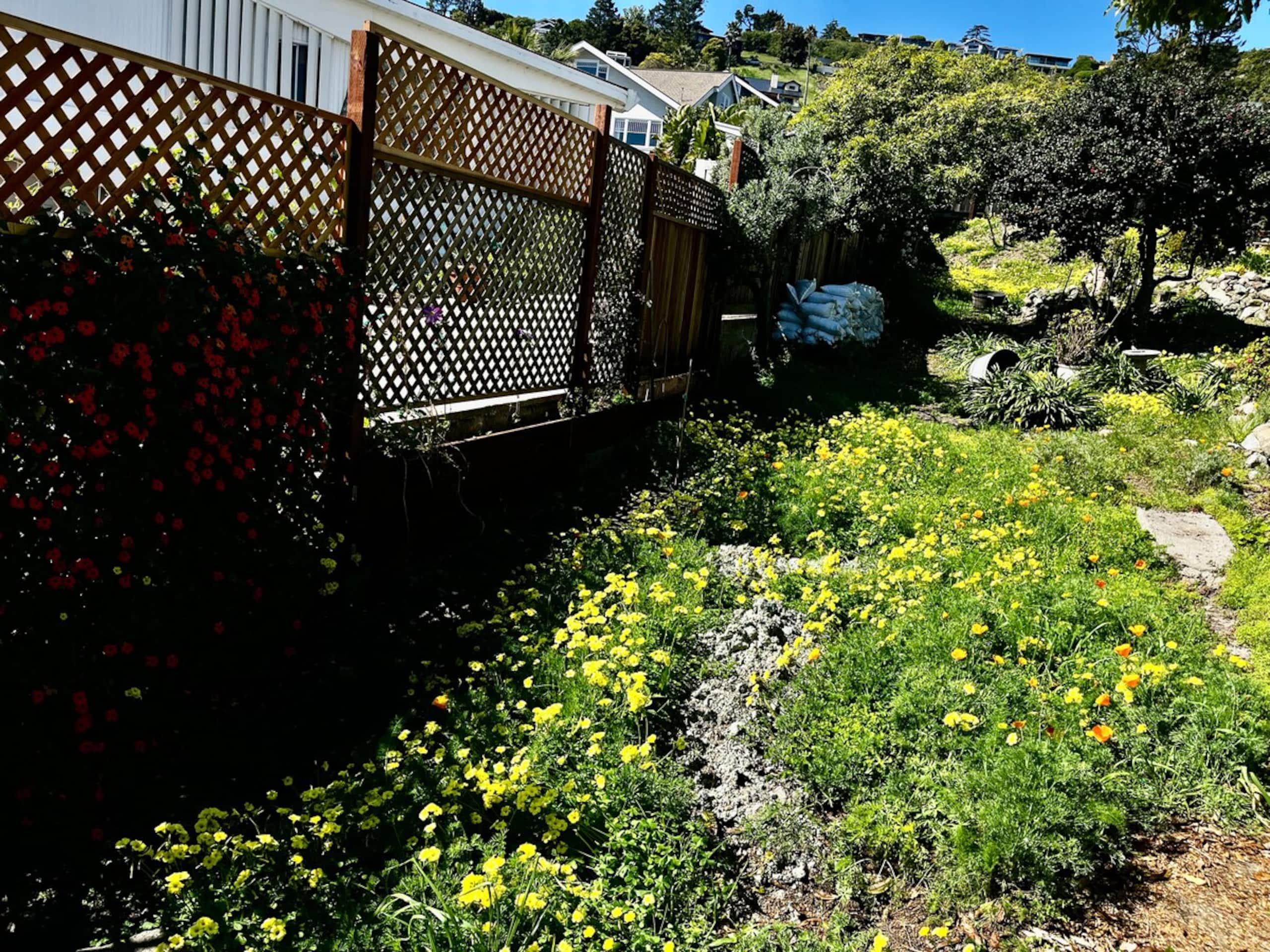 Angel Island and Golden Gate Bridge views. - Photo 46