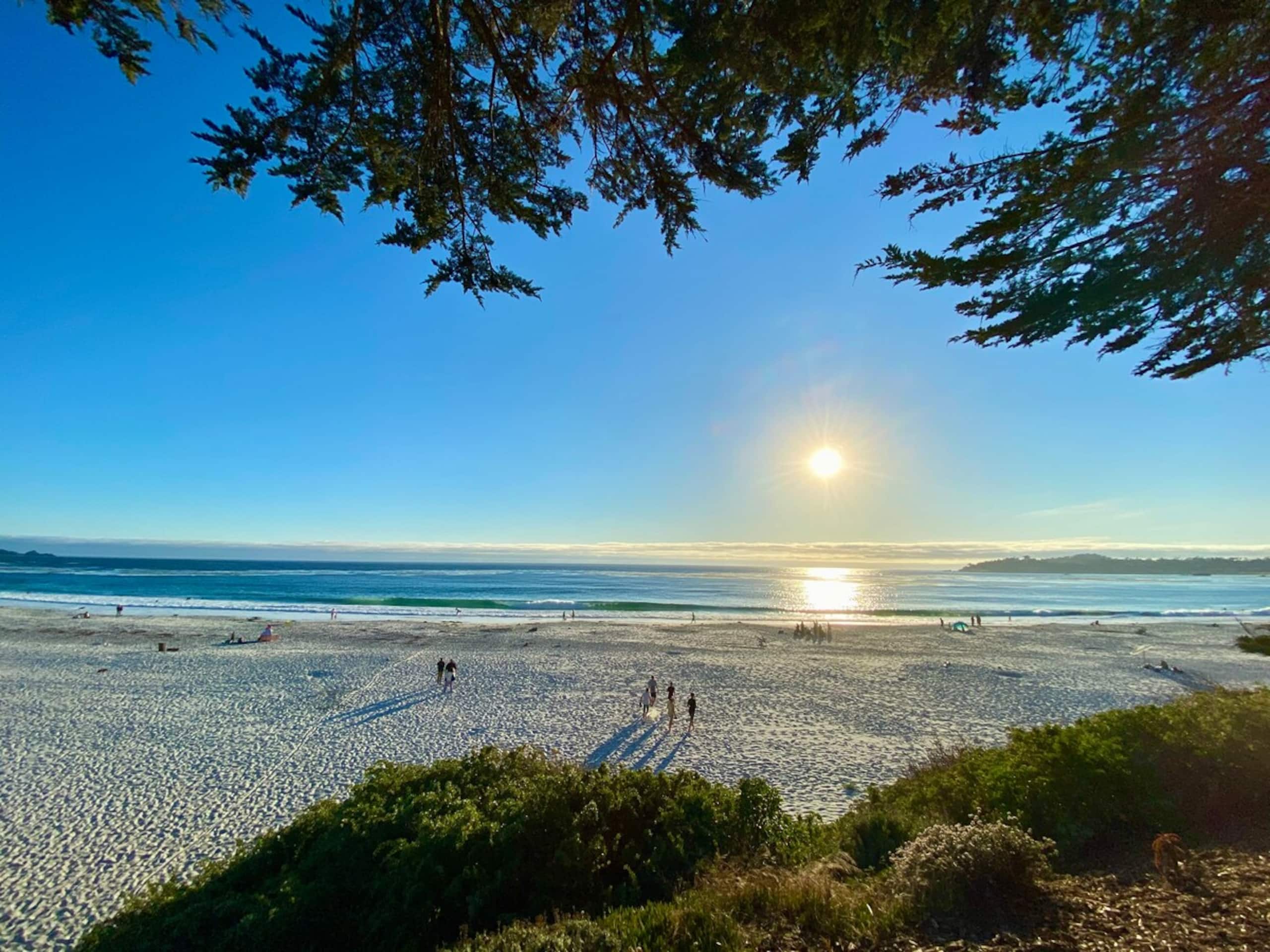 Modern 1BR Carmel Beach Escape, Mins to Downtown - Photo 32