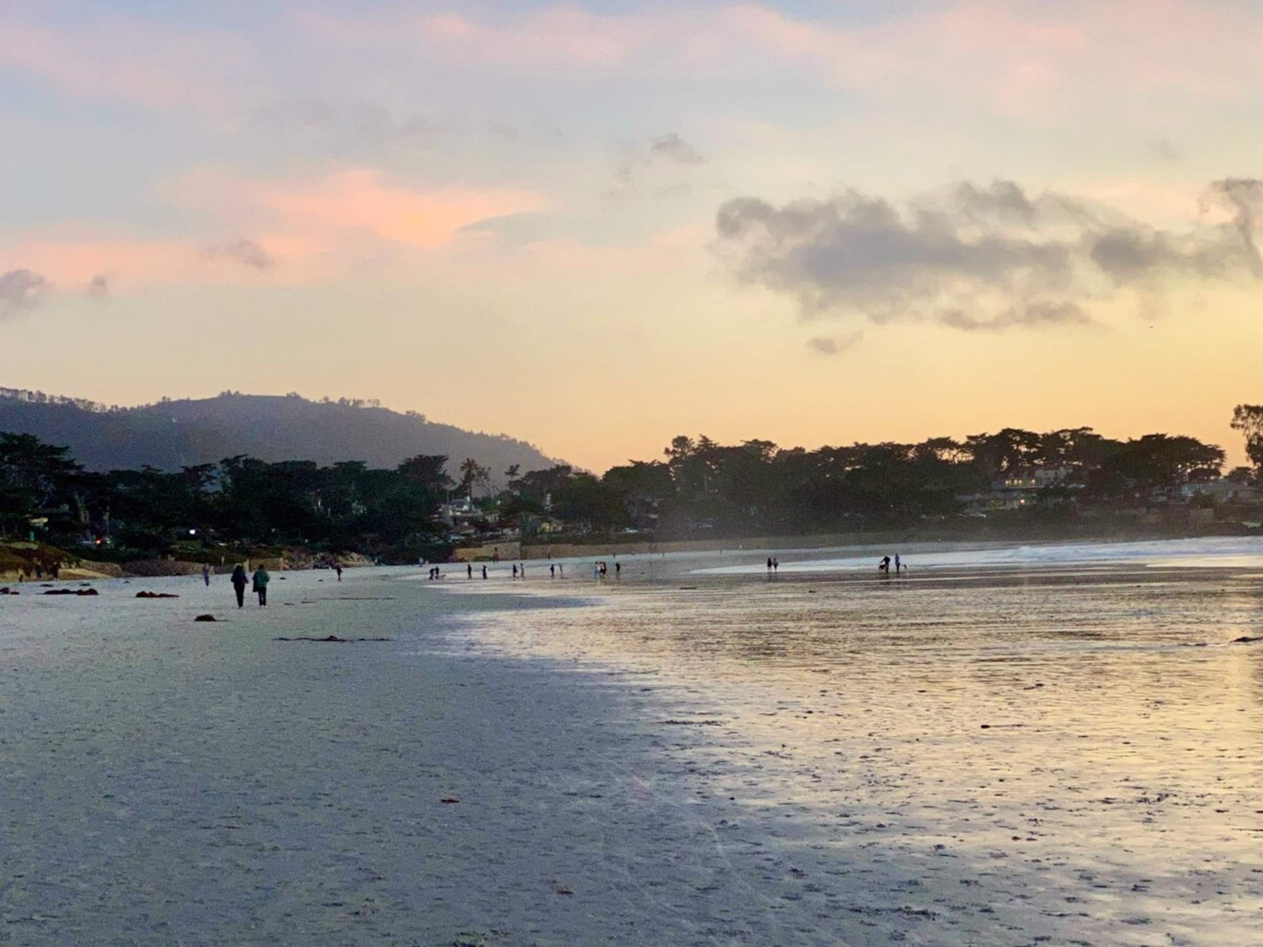 Modern 1BR Carmel Beach Escape, Mins to Downtown - Photo 31