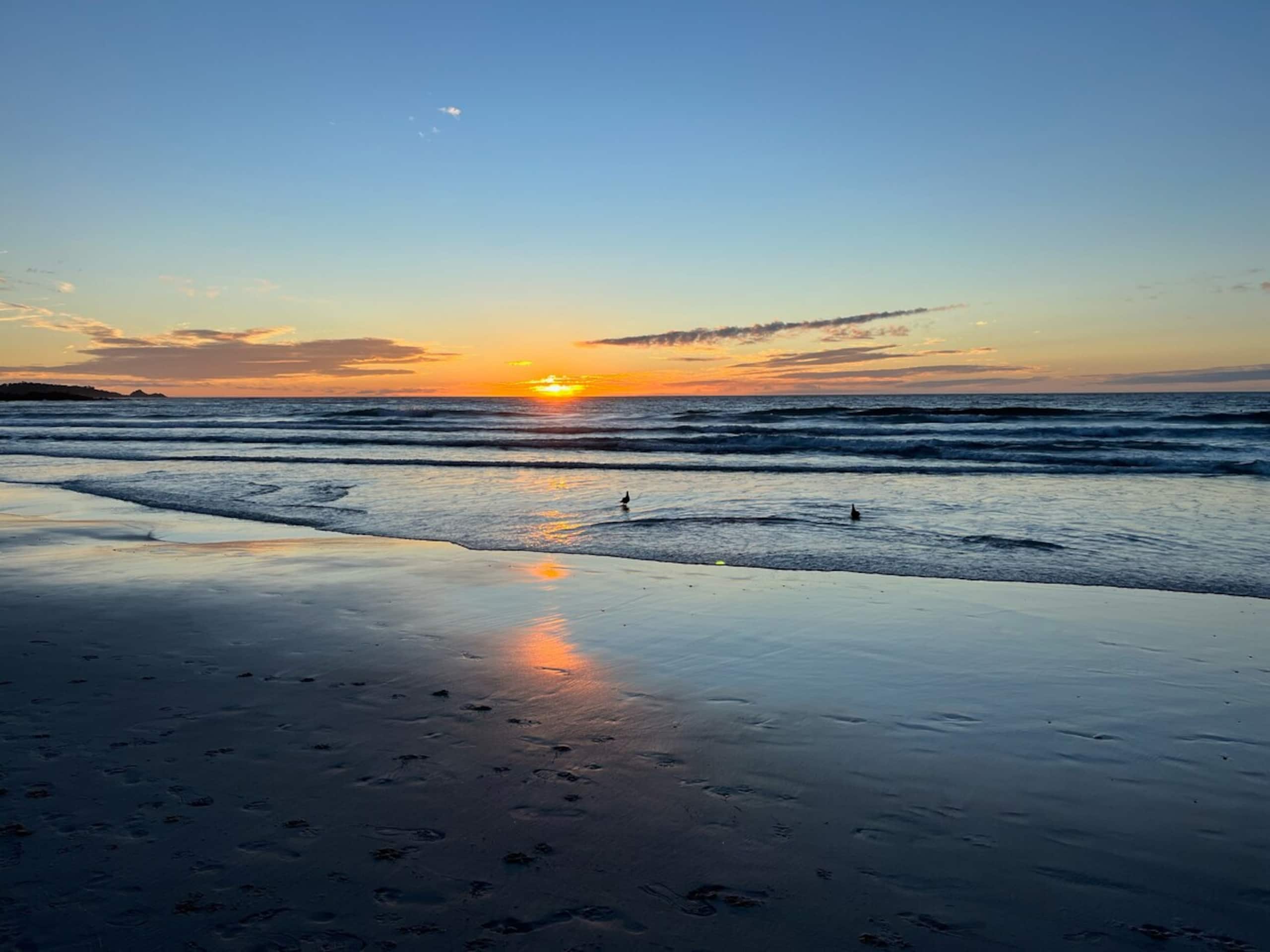 Modern 1BR Carmel Beach Escape, Mins to Downtown - Photo 33