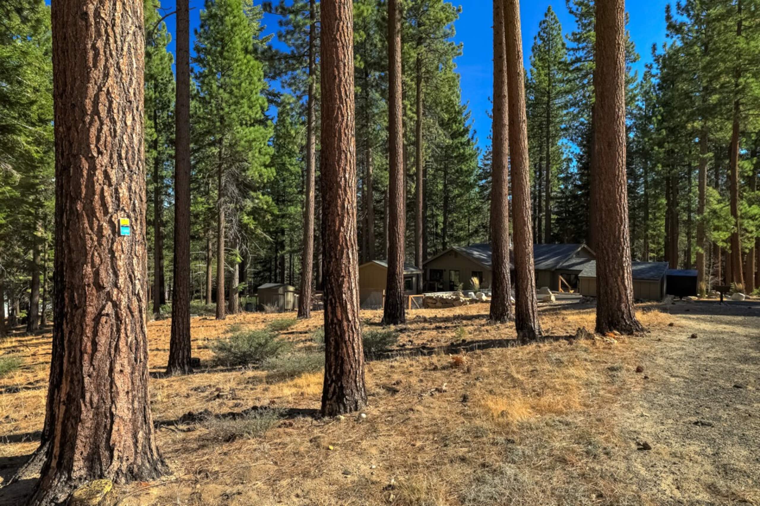 Mountain Pine Memories - Pets + Hot tub + Fire pit - Photo 41