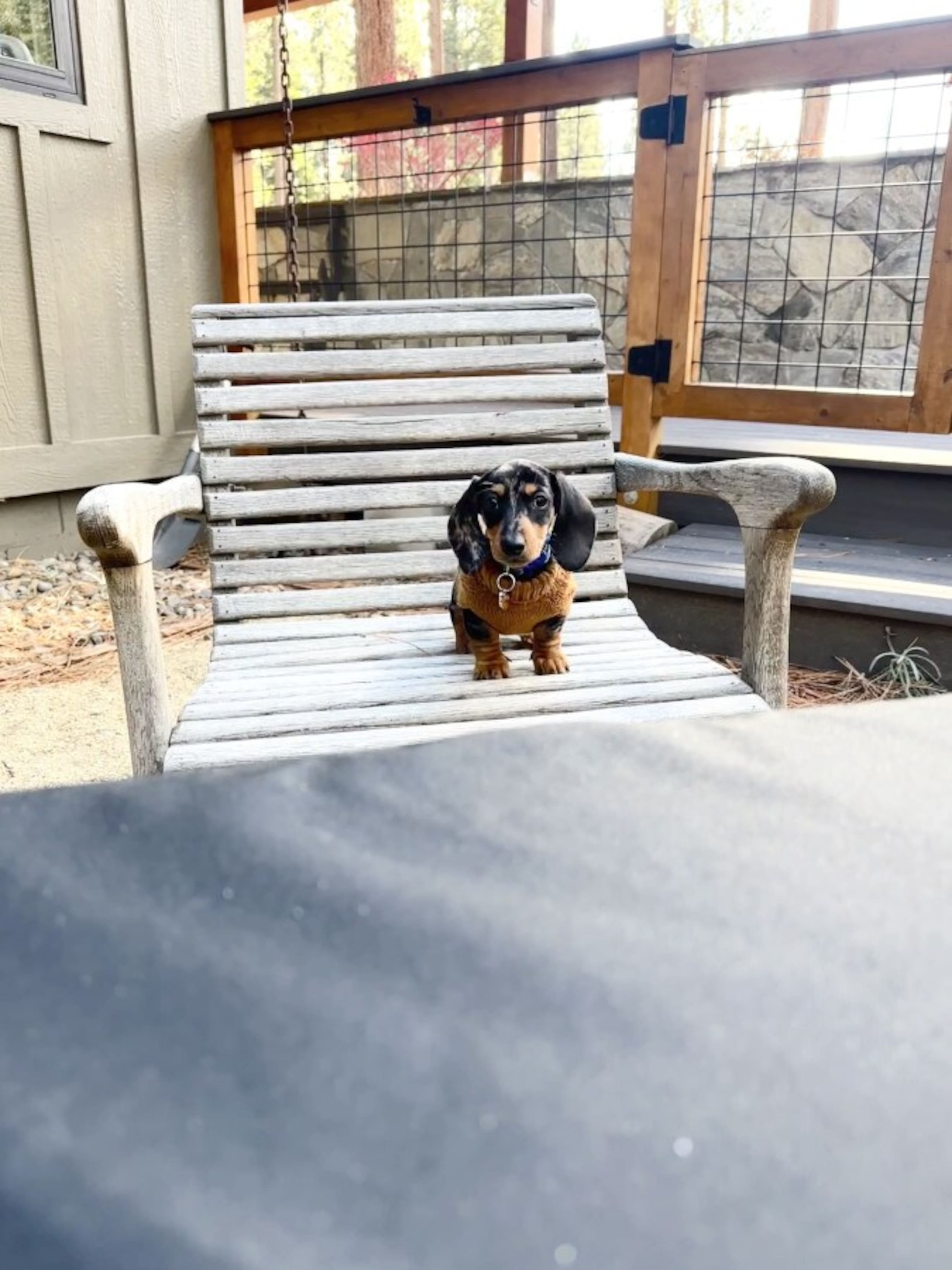 Mountain Pine Memories - Pets + Hot tub + Fire pit - Photo 44