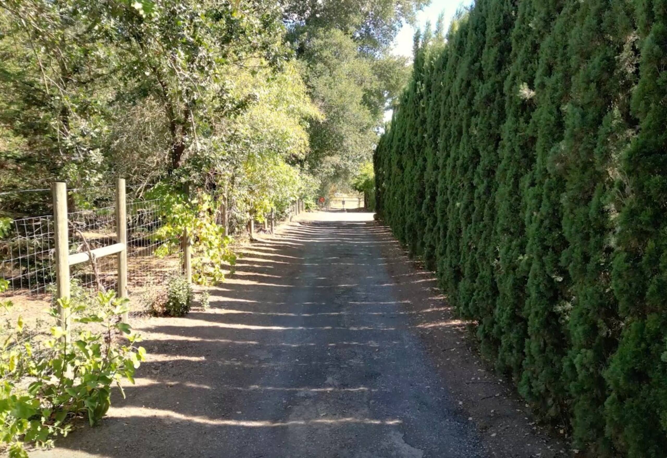 Casa Palmera Sonoma - now avail for shorter stays - Photo 21