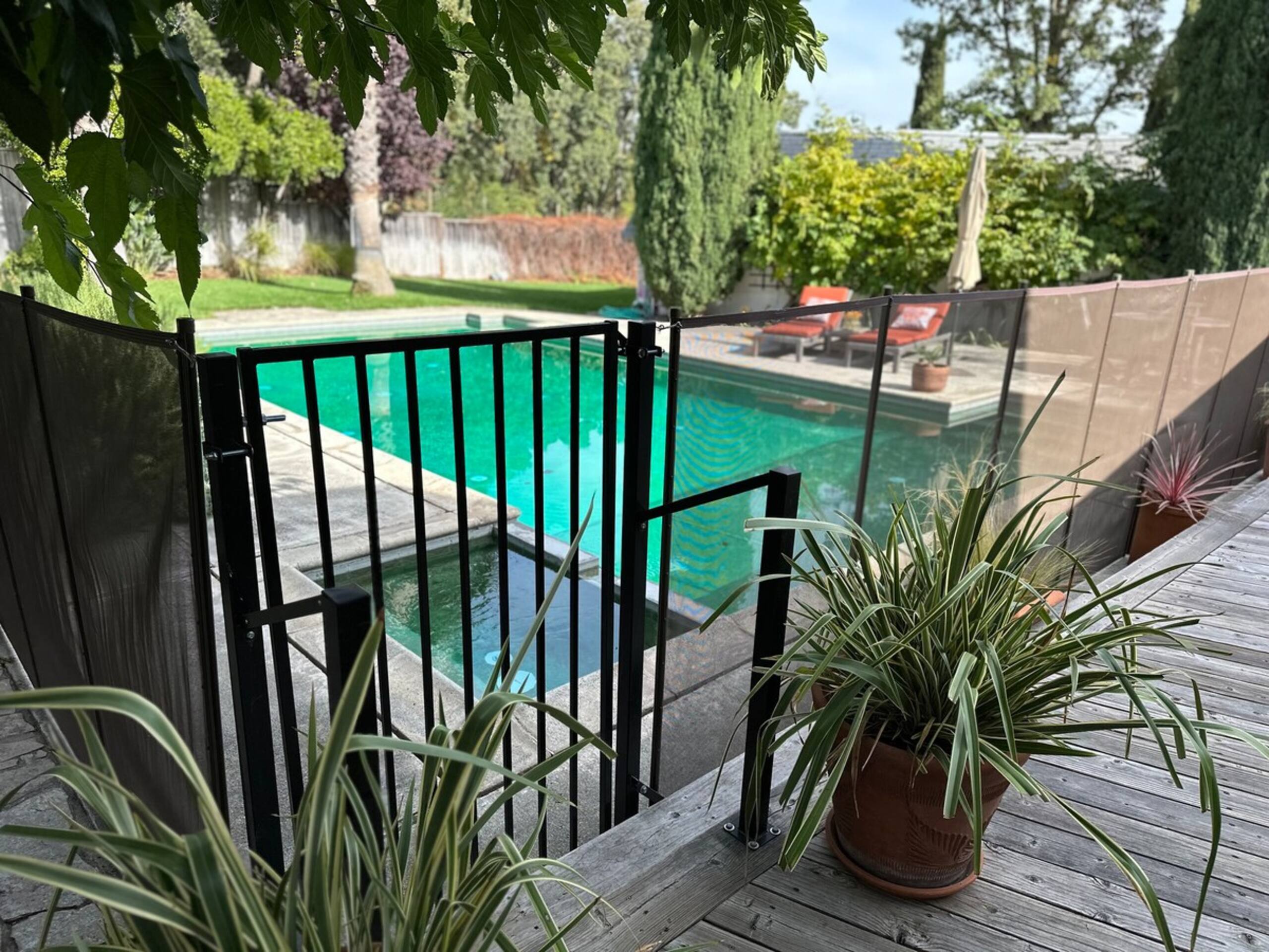 Casa Palmera Sonoma - now avail for shorter stays - Photo 31