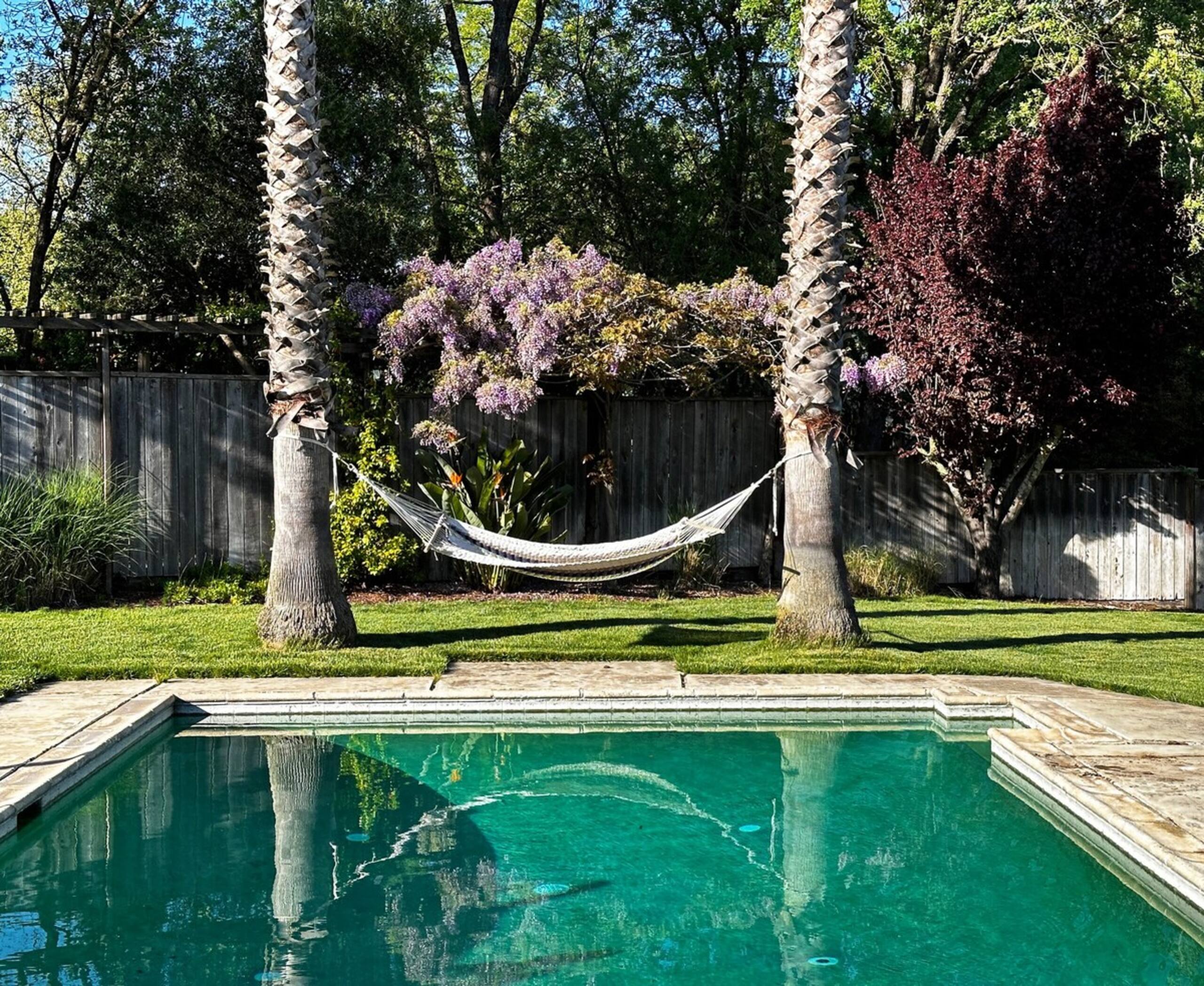 Casa Palmera Sonoma - now avail for shorter stays - Photo 23
