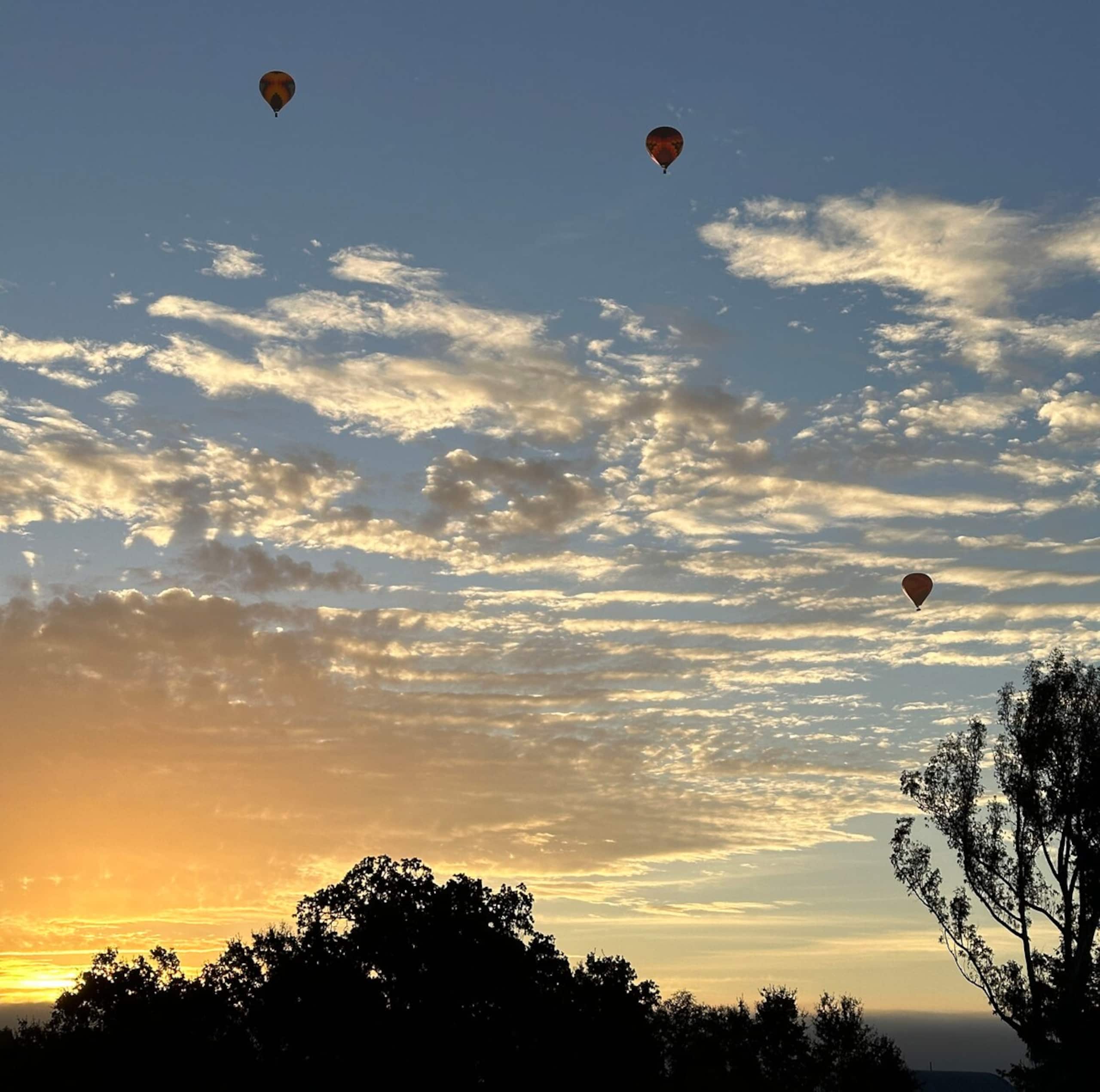 Casa Palmera Sonoma - now avail for shorter stays - Photo 36