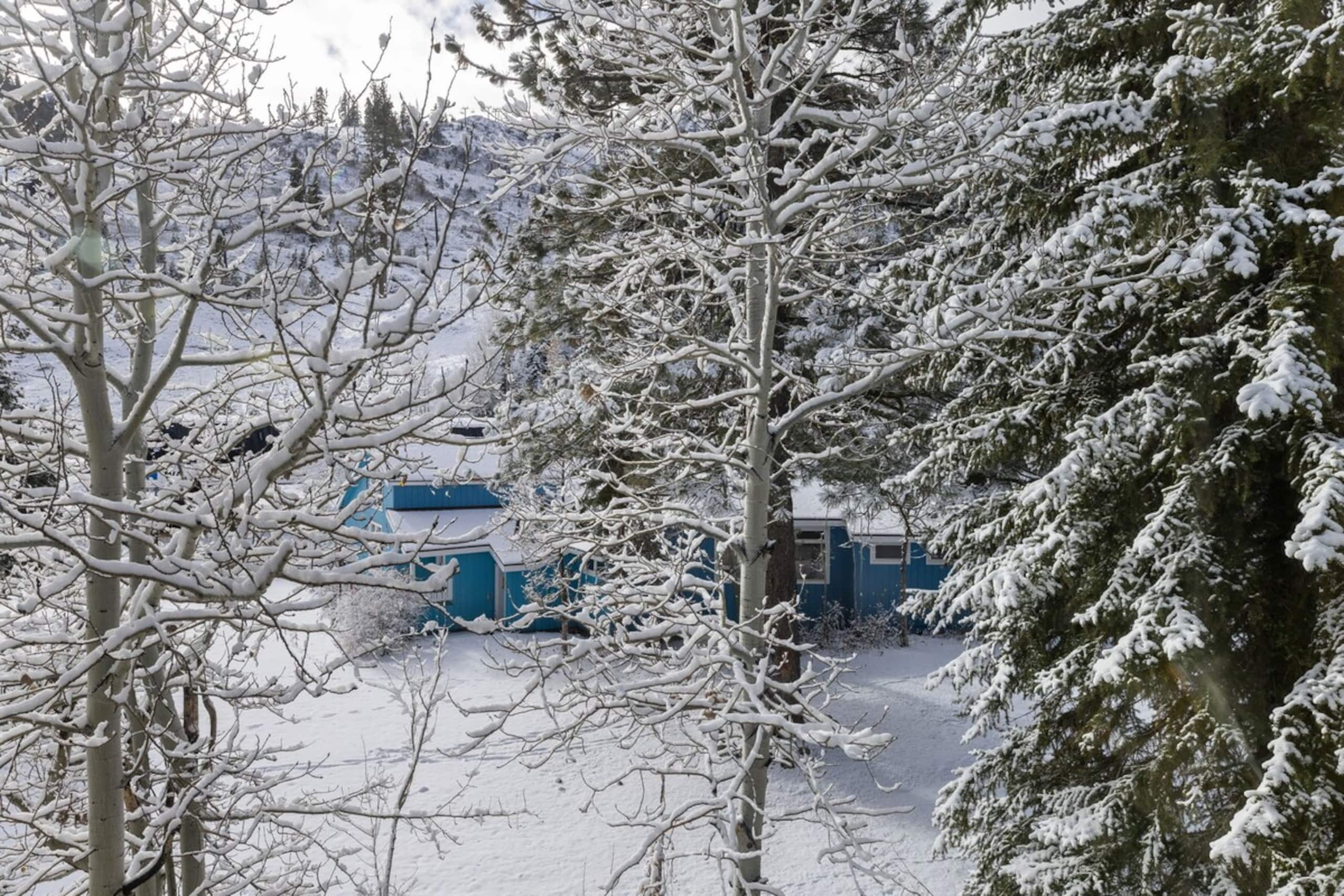 Mtn Facing Loft - Ski In/Out, FREE Parking - Photo 18