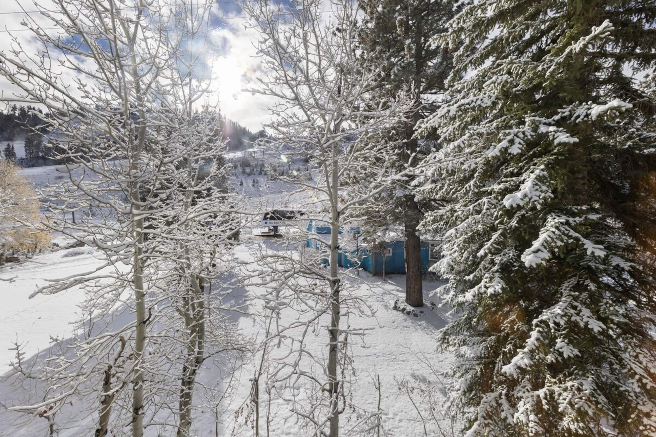 Mtn Facing Loft - Ski In/Out, FREE Parking - Photo 2